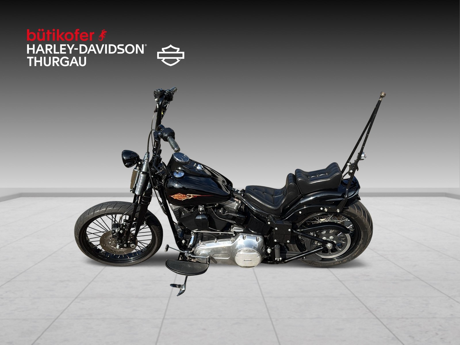 HARLEY-DAVIDSON FLSTSB Cross Bones-image-7