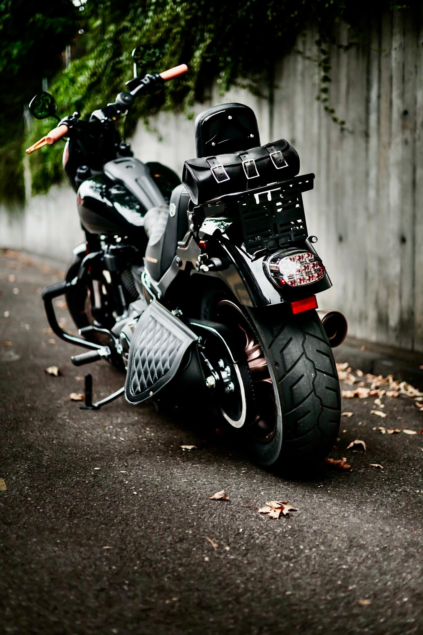 HARLEY-DAVIDSON FXLRS Low Rider S 117-image-2