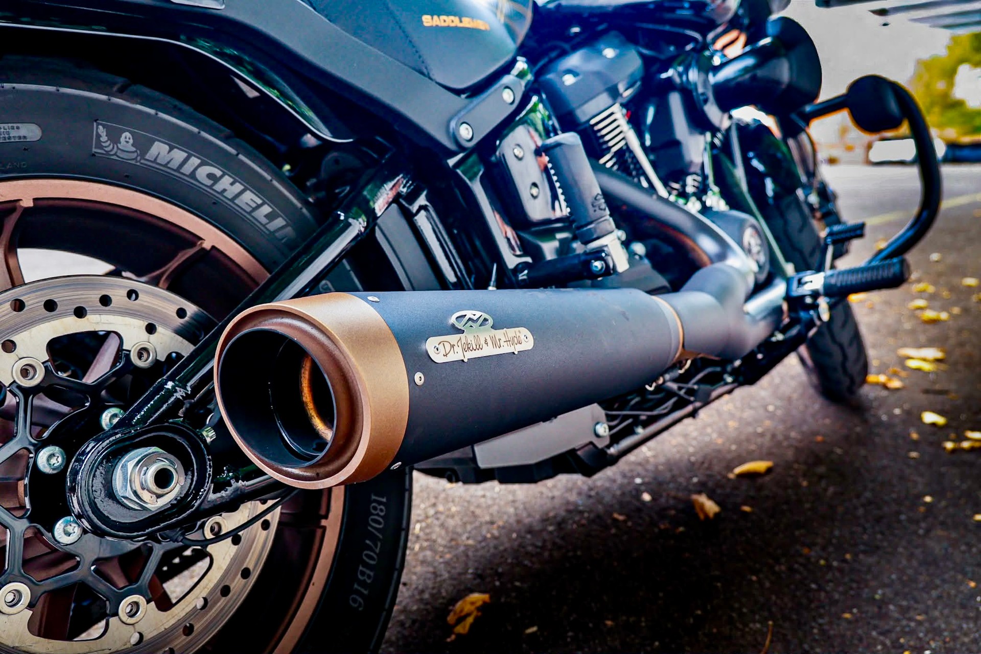 HARLEY-DAVIDSON FXLRS Low Rider S 117-image-5