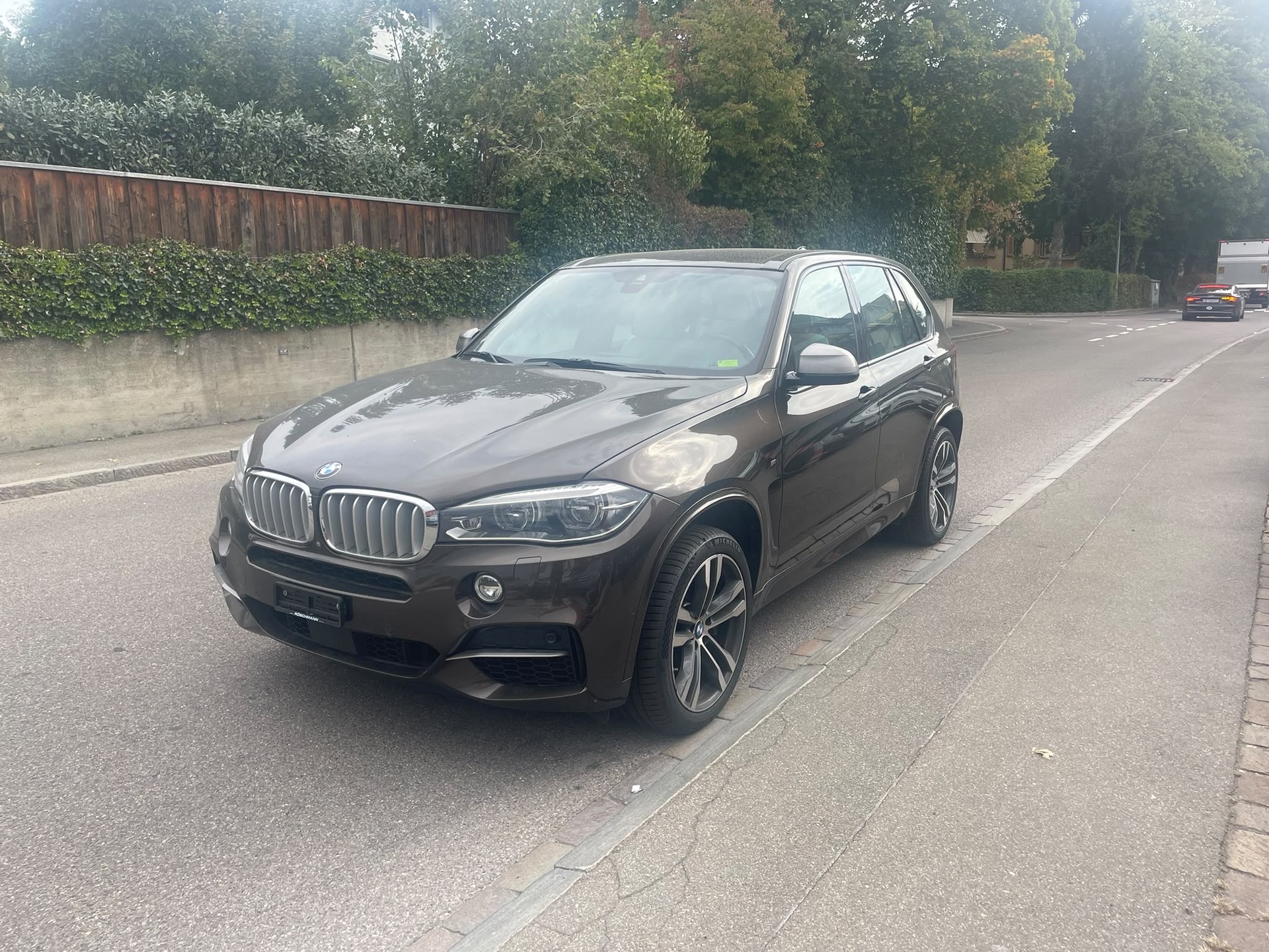 BMW X5 xDrive M50d Steptronic-showroom-element-2