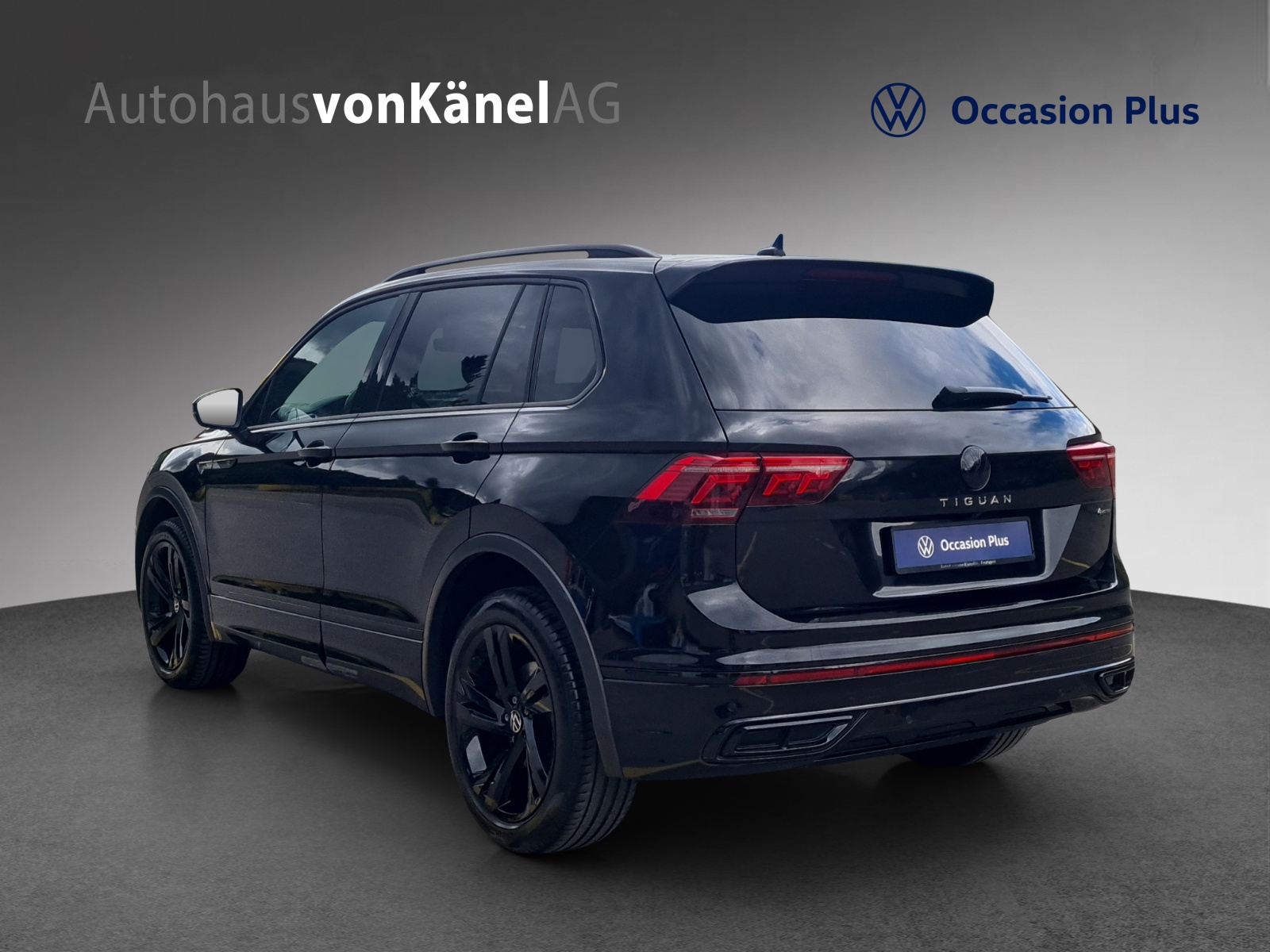 VW Tiguan 2.0TSI R-Line 4Motion DSG-showroom-element-2