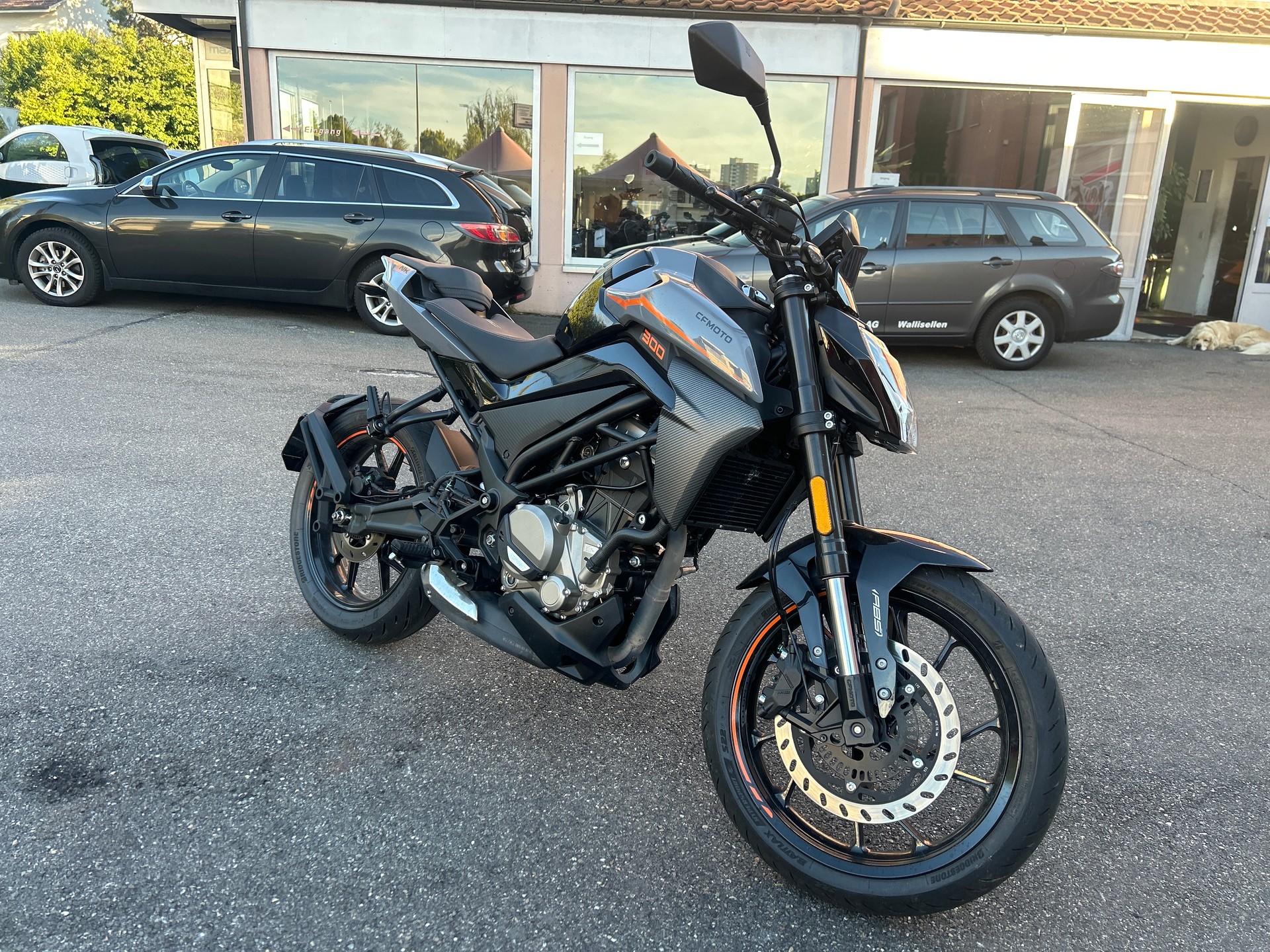 CF MOTO 300NK-image-0