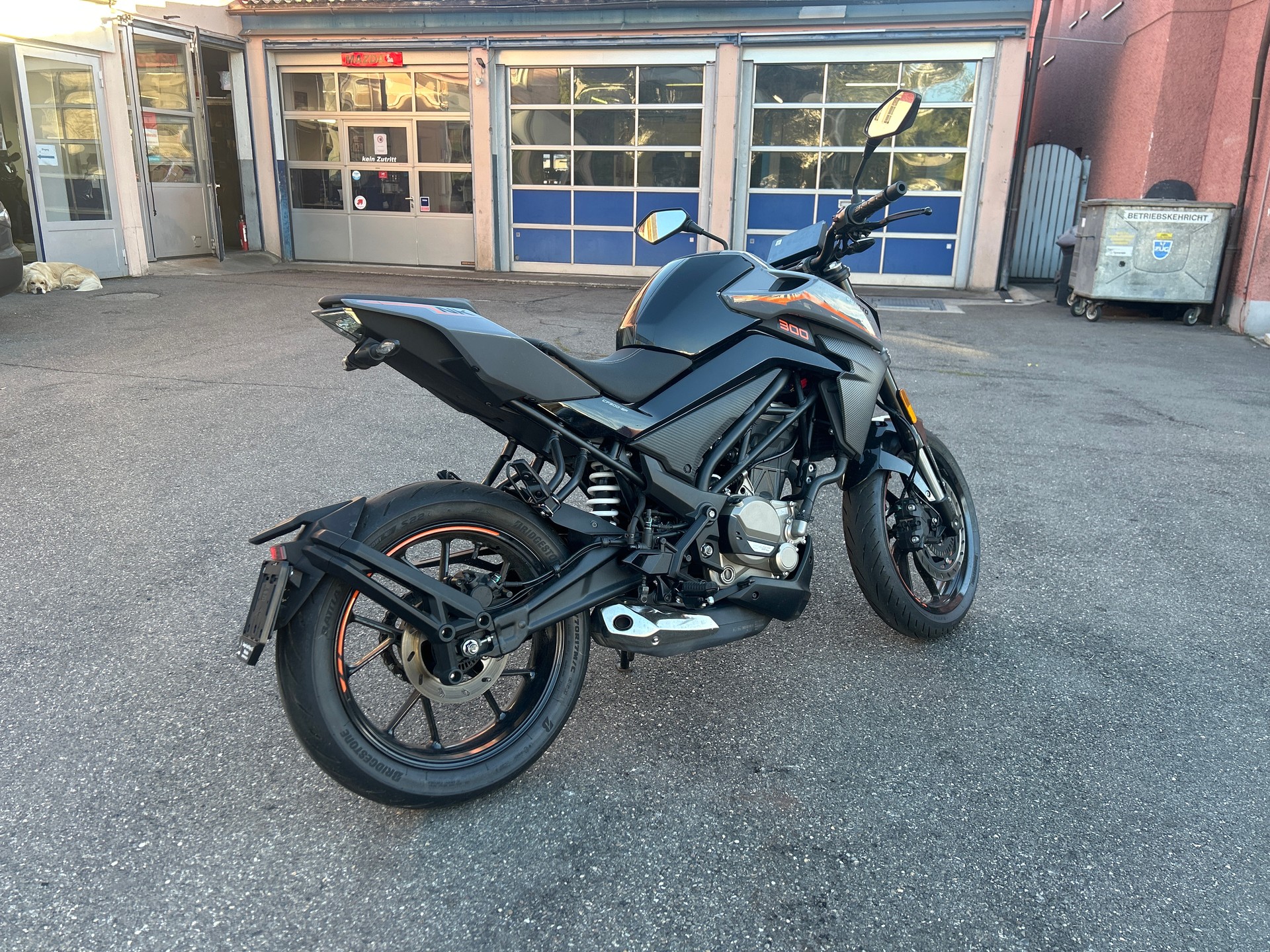 CF MOTO 300NK-image-1