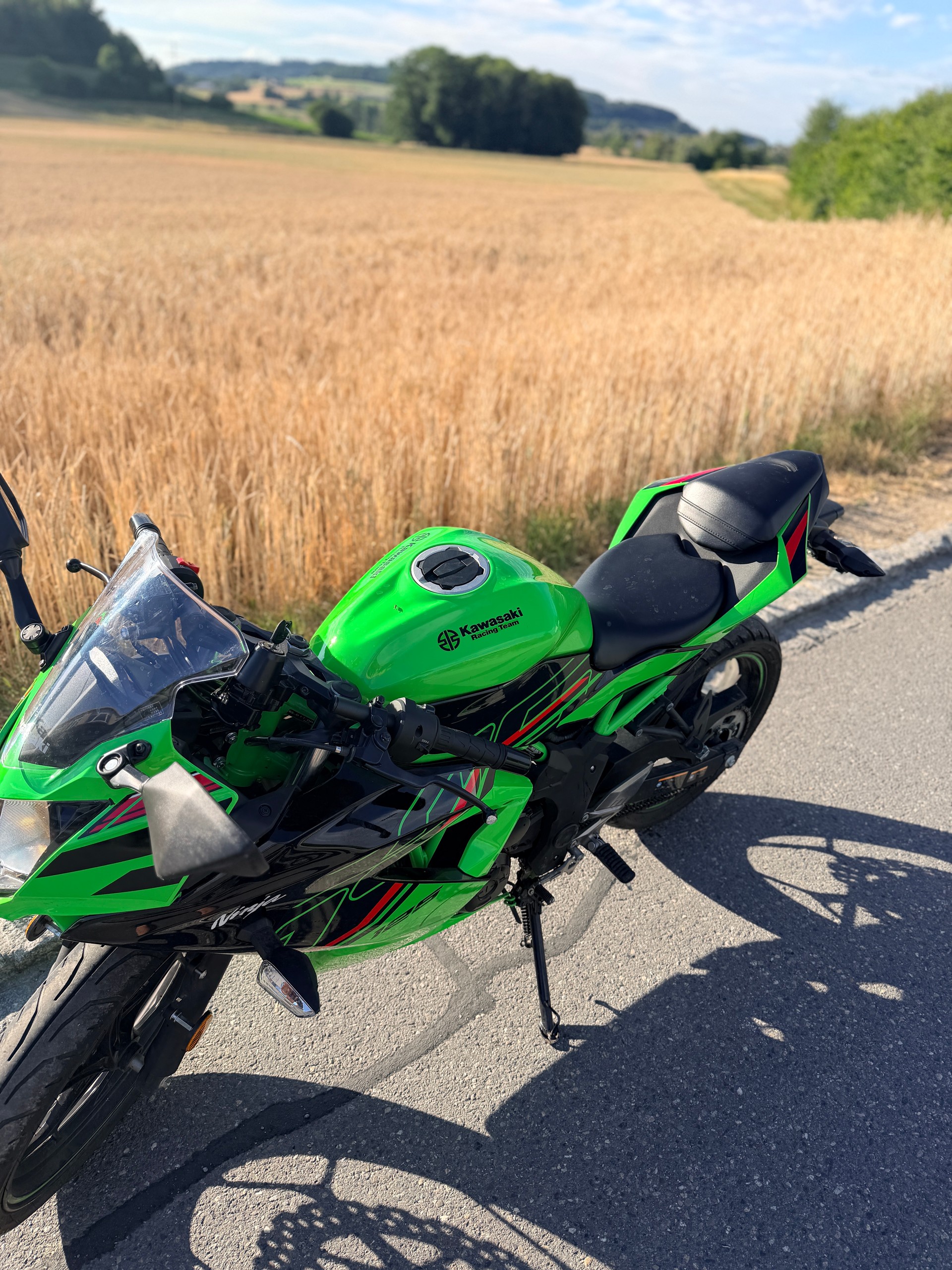 KAWASAKI Ninja 125-image-1