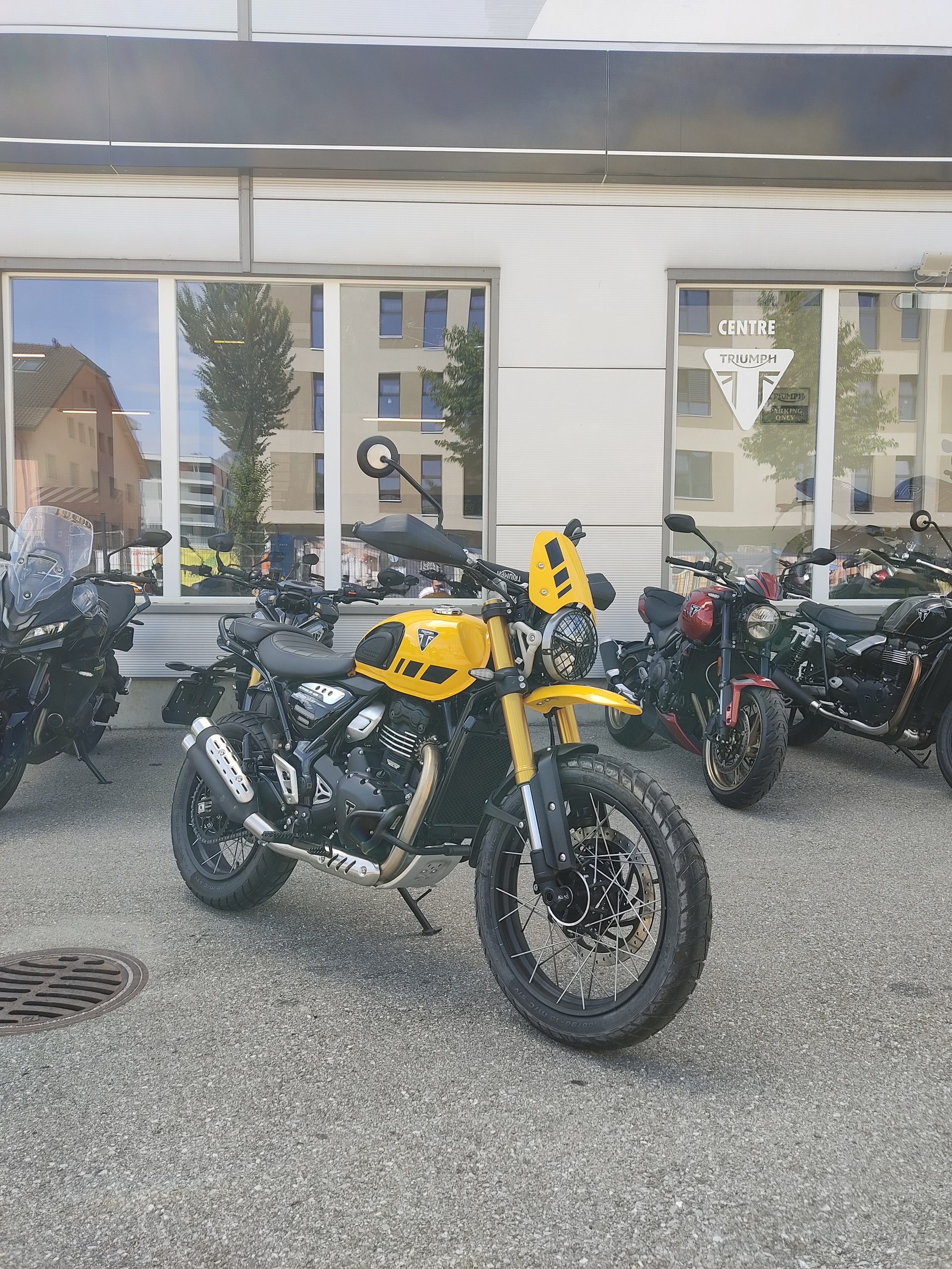 TRIUMPH Scrambler 400 XC-image-0