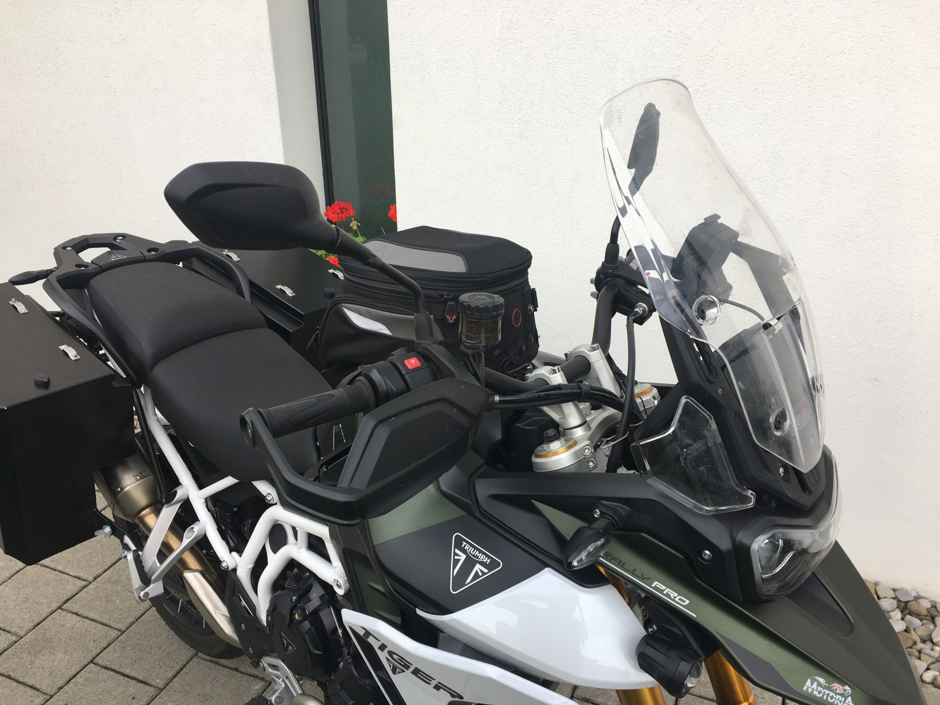 TRIUMPH Tiger 900 Rally Pro-image-1