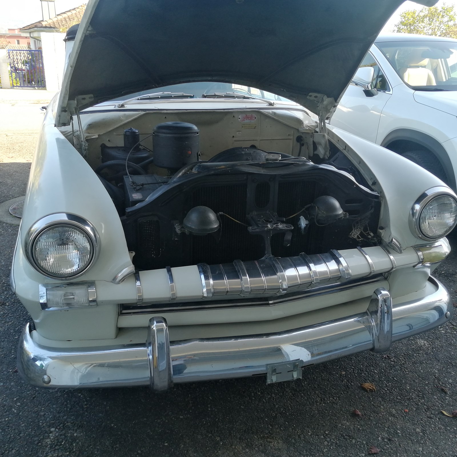 PLYMOUTH Plymouth P 25 X-image-3