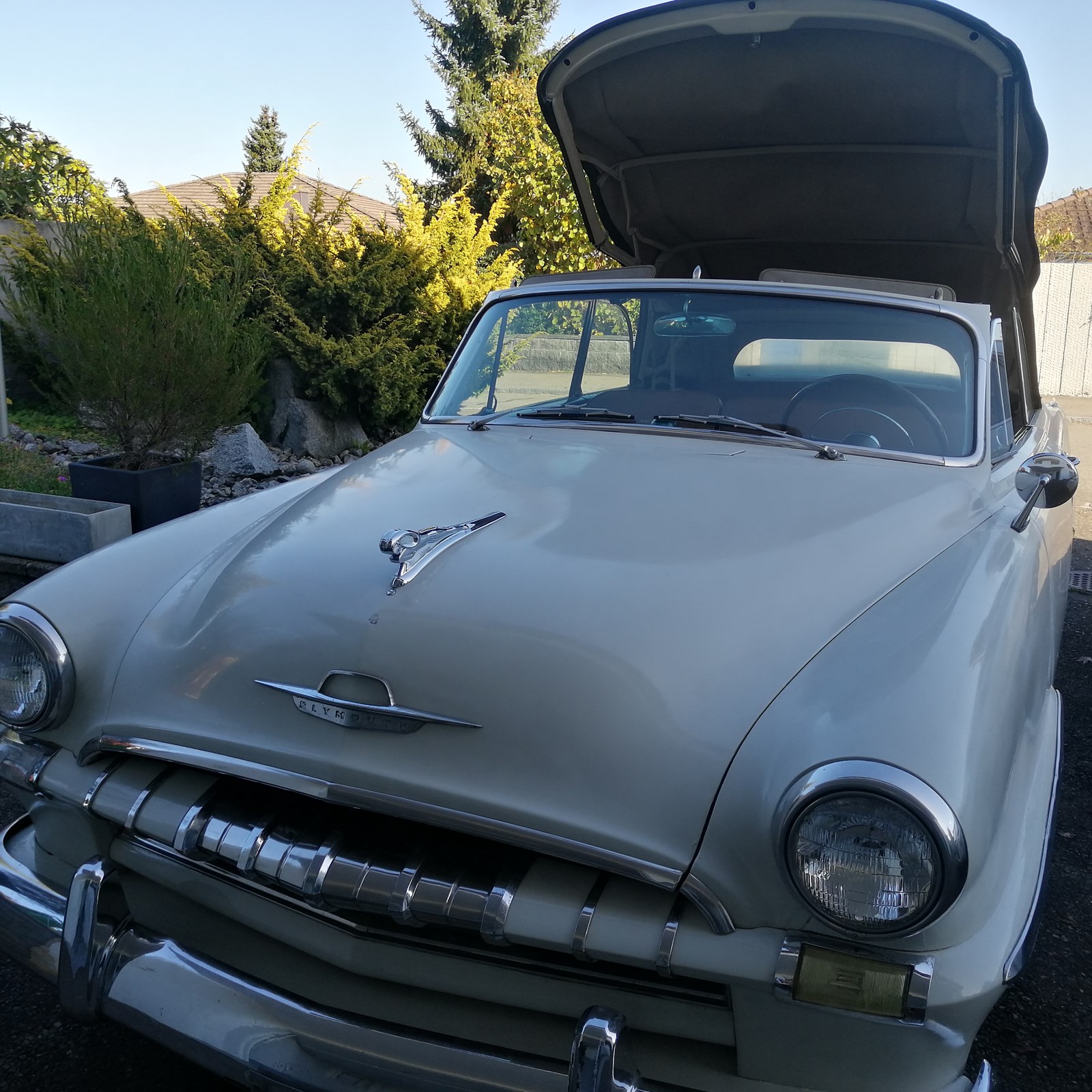 PLYMOUTH Plymouth P 25 X-image-6