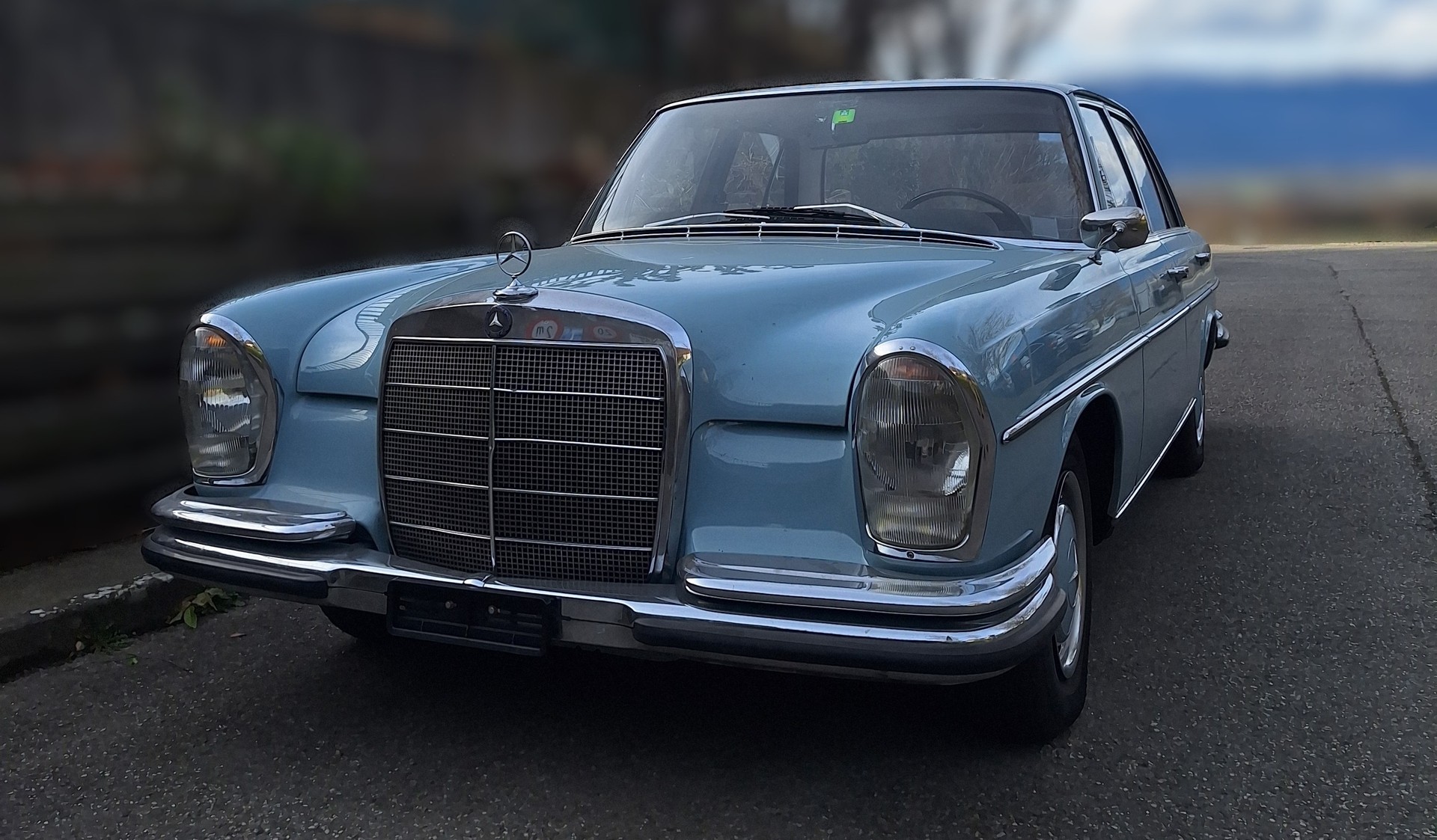 MERCEDES-BENZ 250 SE-image-3