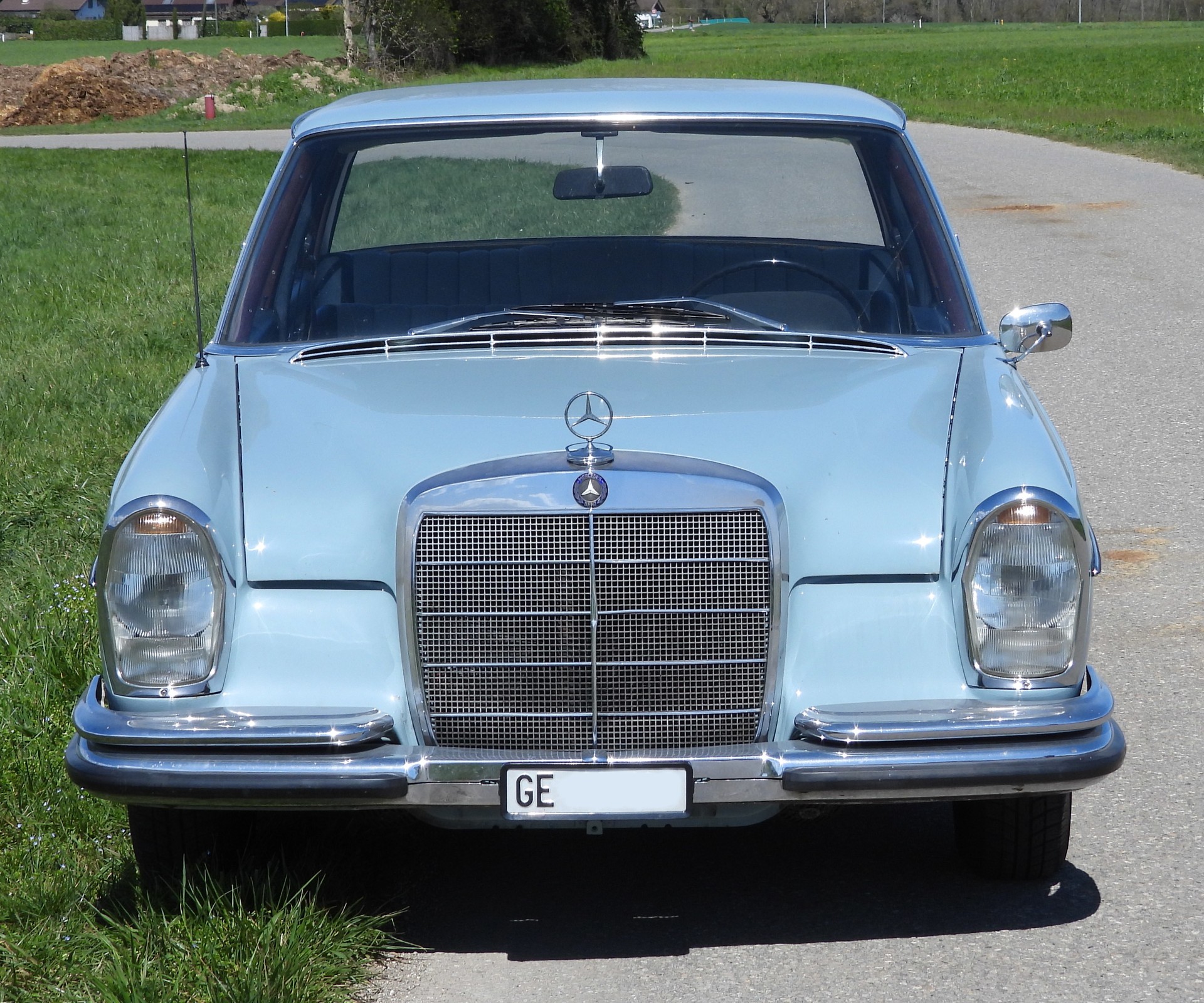 MERCEDES-BENZ 250 SE-image-1
