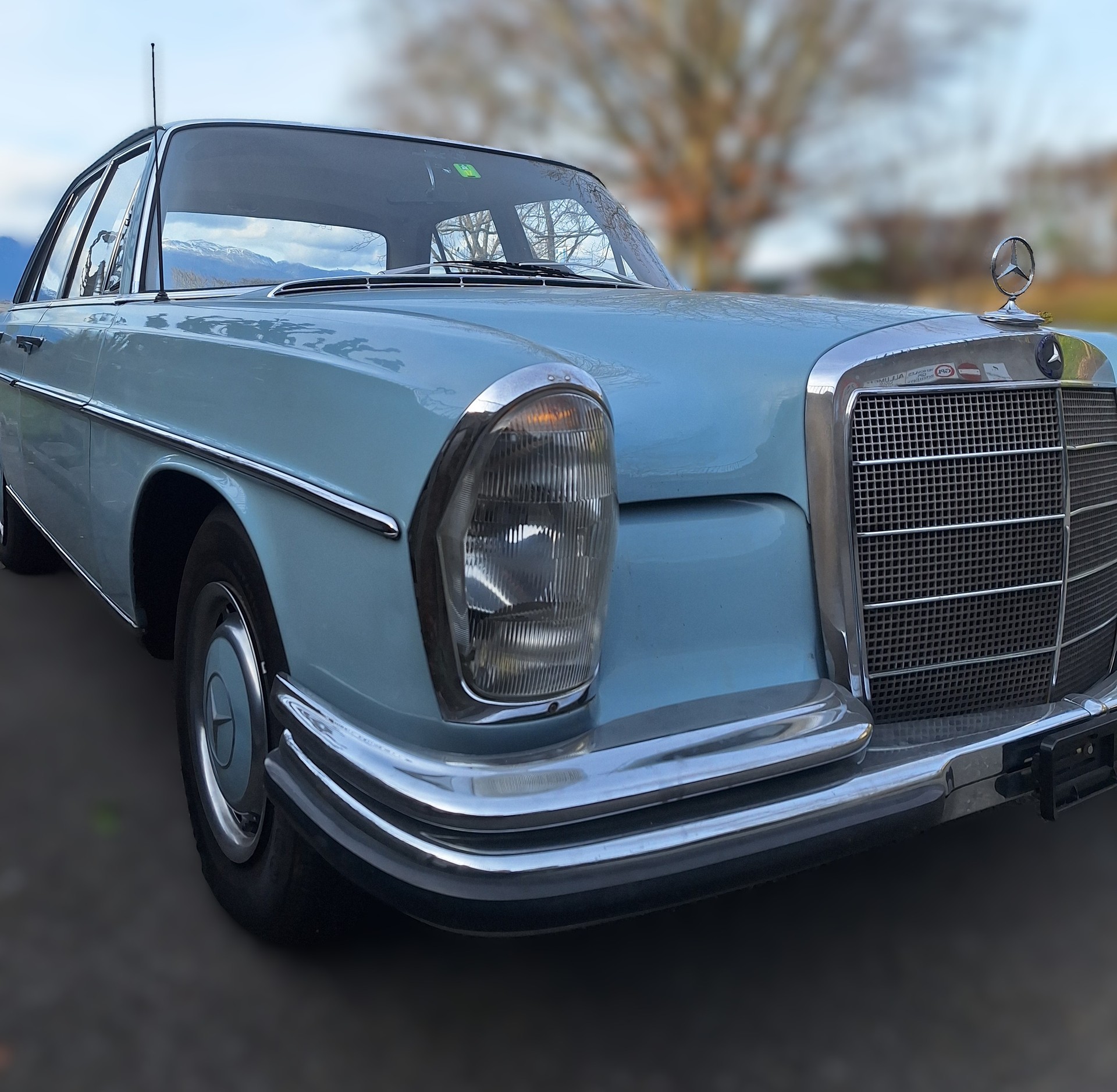 MERCEDES-BENZ 250 SE-image-5