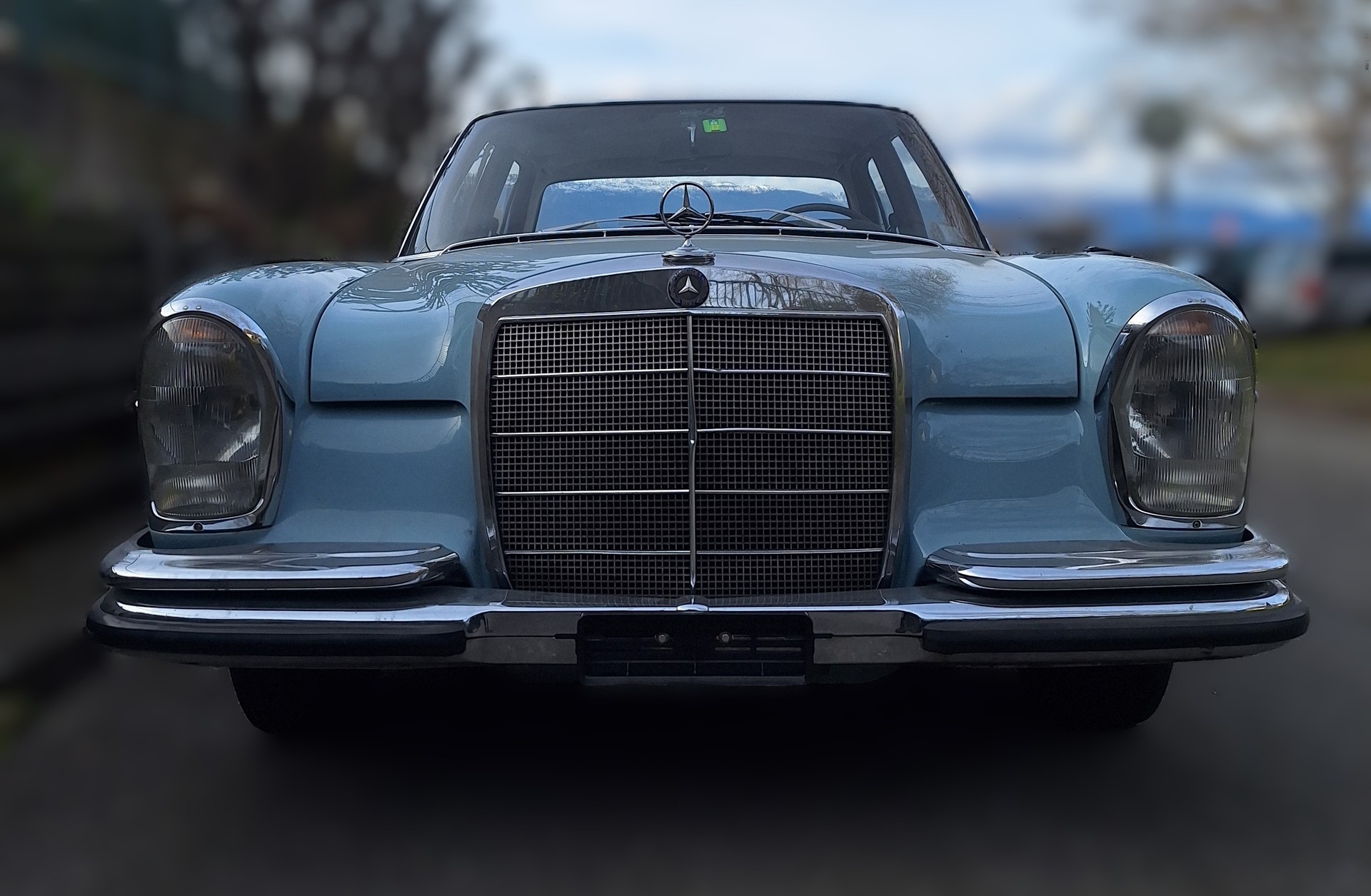 MERCEDES-BENZ 250 SE-image-4
