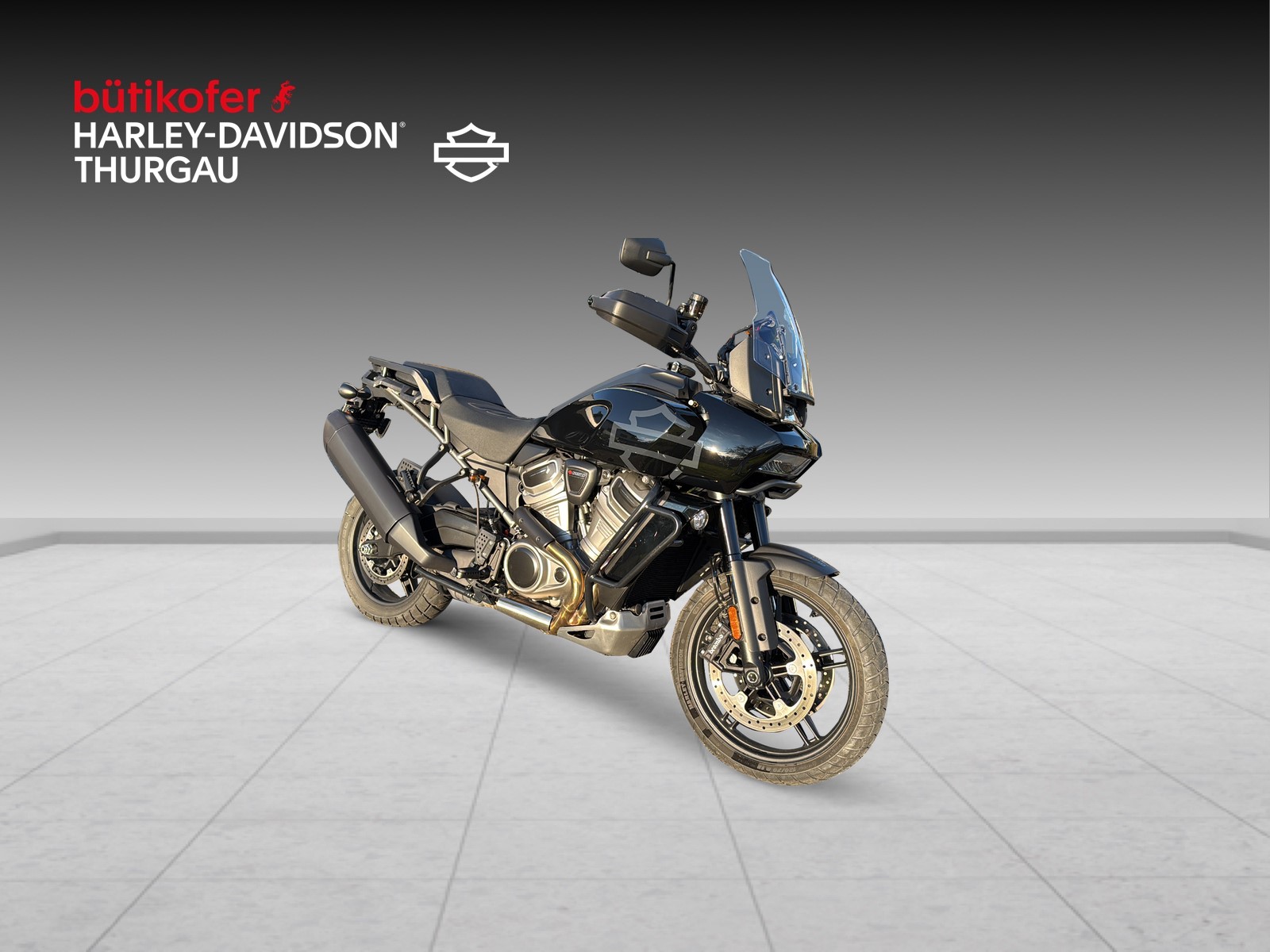 HARLEY-DAVIDSON RA Pan America 1250 Special-image-0