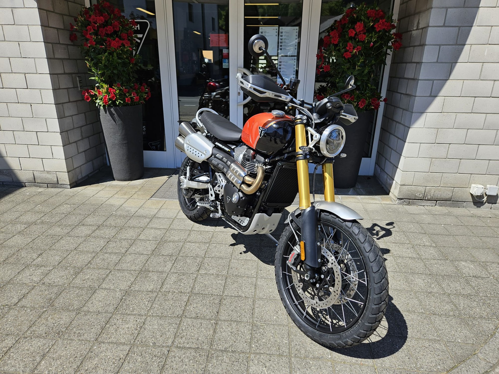 TRIUMPH Scrambler 1200 XE-image-3