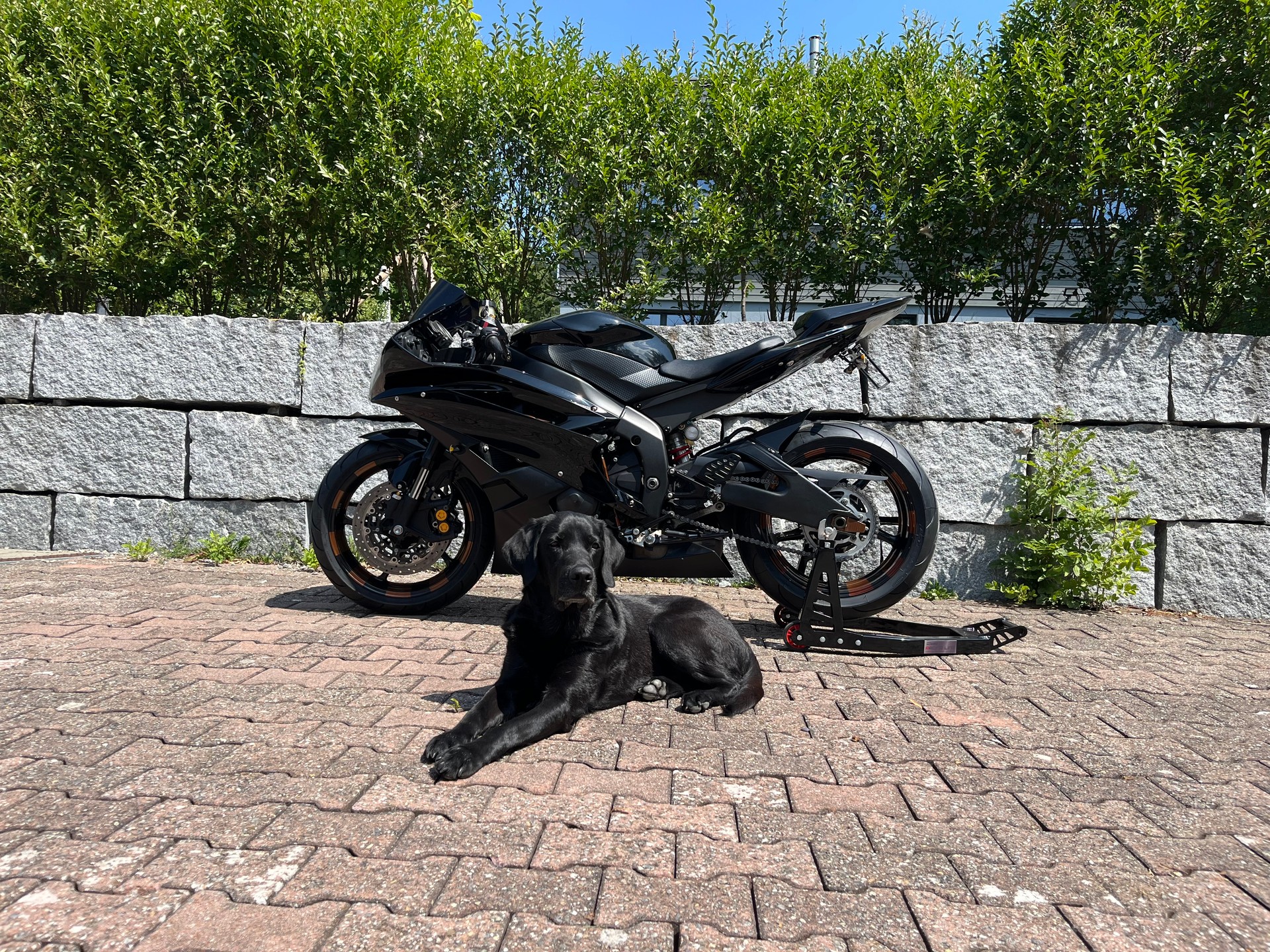 YAMAHA YZF-R6-image-11