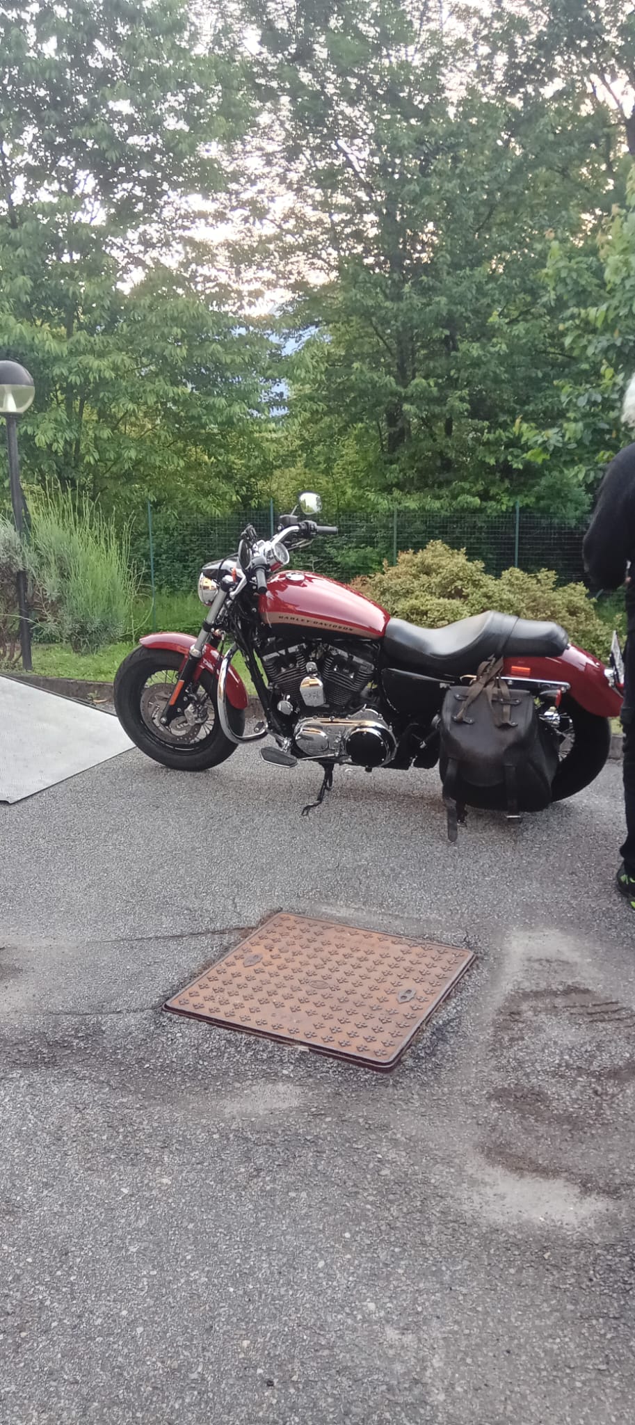 HARLEY-DAVIDSON XL 1200 C Sportster Custom ABS-image-1