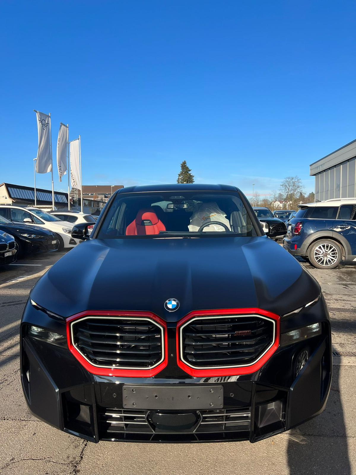BMW XM xDrive PHEV Steptronic Label Limited Edition 1 of 500