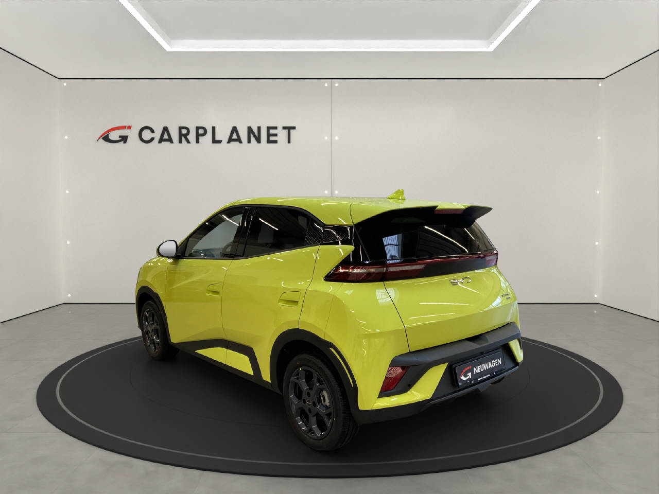 BYD Dolphin Surf Comfort-showroom-element-2