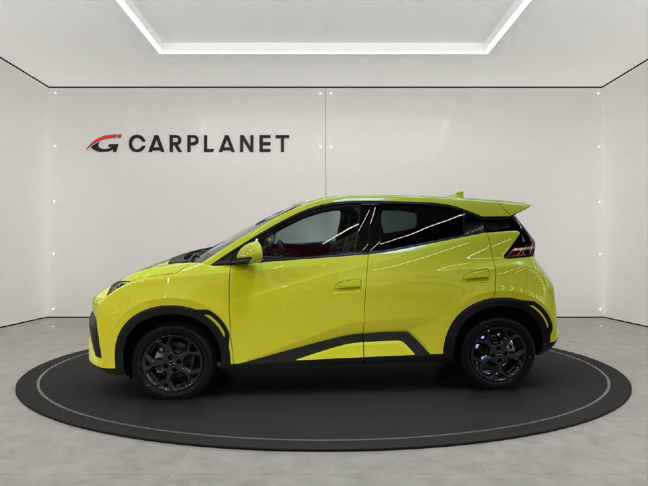 BYD Dolphin Surf Comfort-showroom-element-1