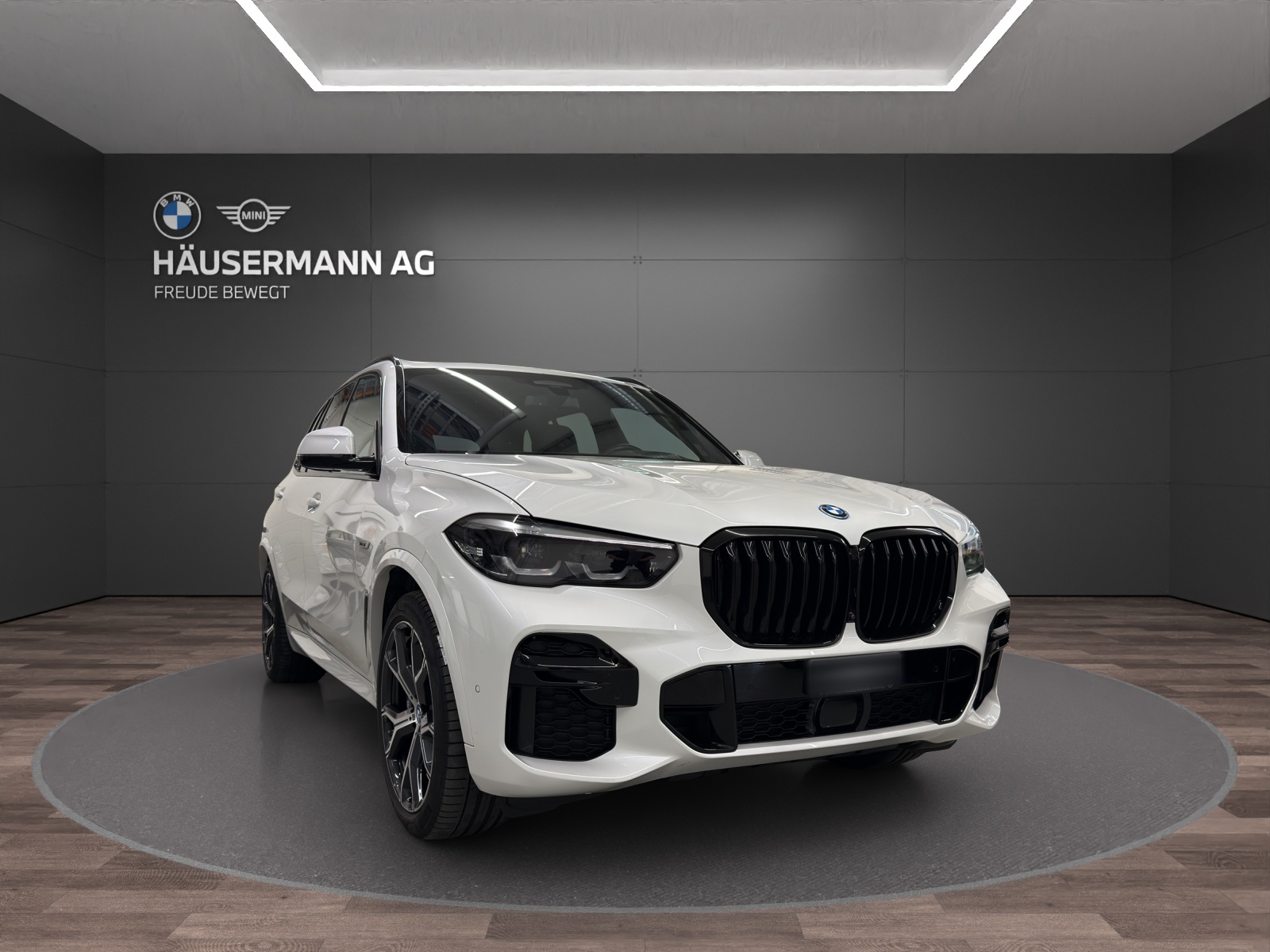 BMW X5 45e xDrive M SPORTPAKET-showroom-element-2