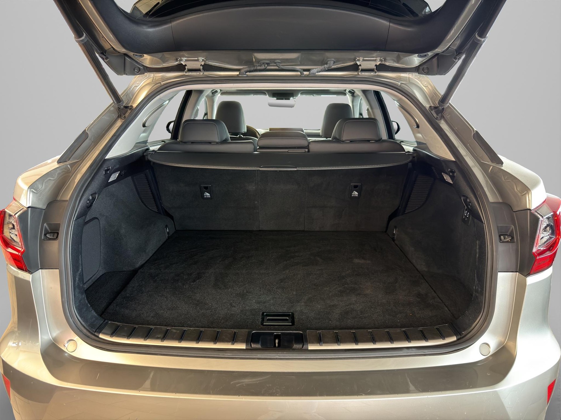 LEXUS RX 450h Excellence-image-9