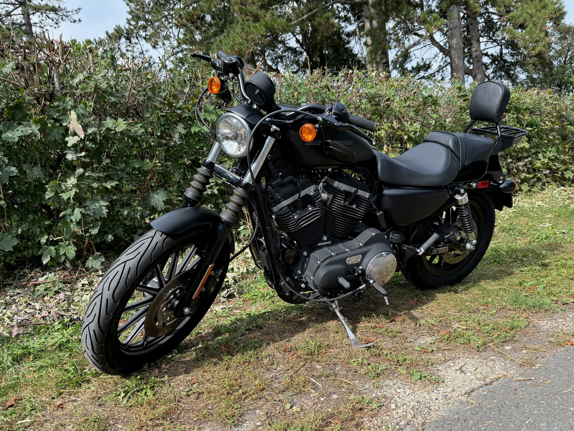HARLEY-DAVIDSON XL 883 N Sportster Iron-image-2