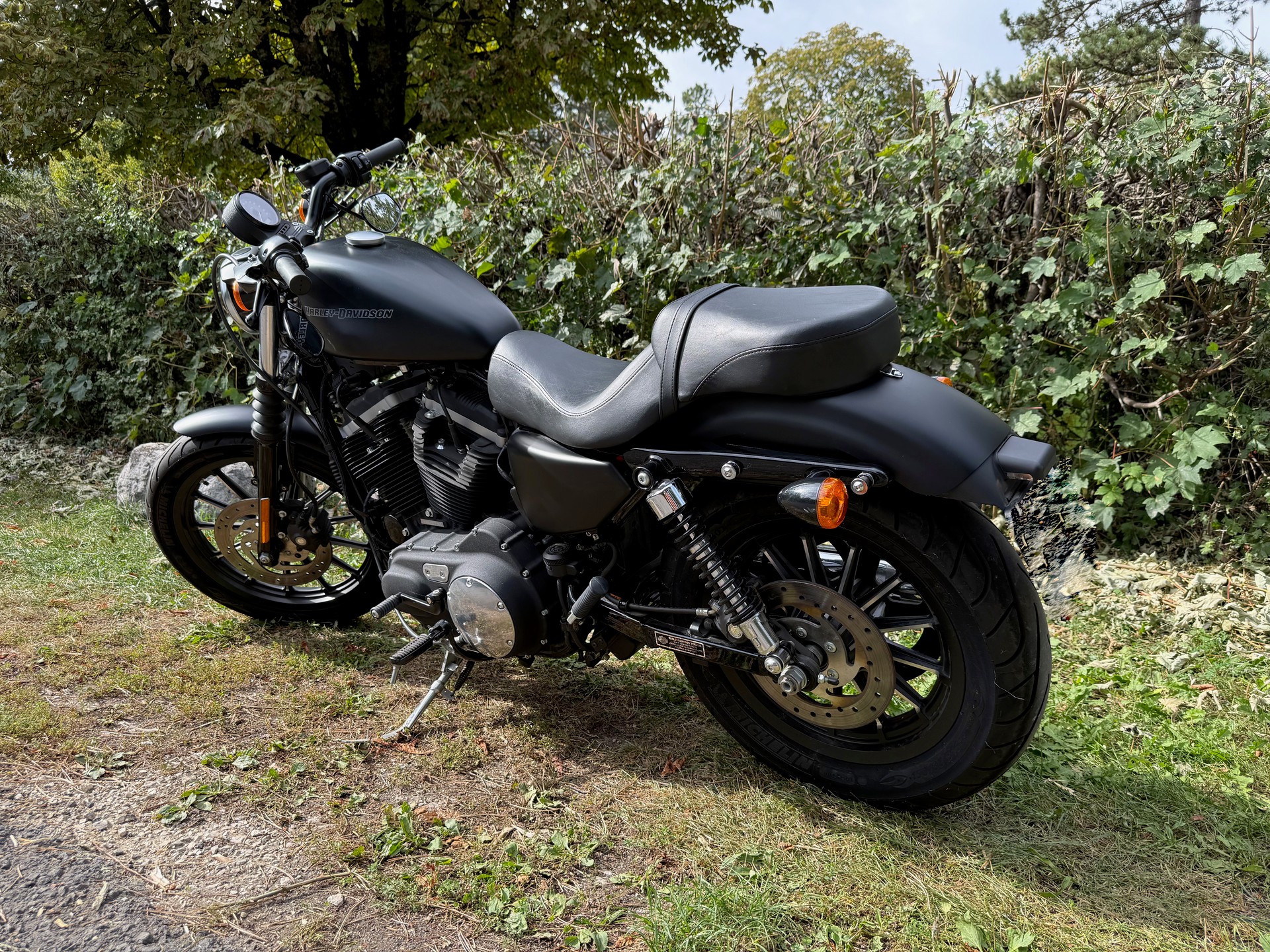 HARLEY-DAVIDSON XL 883 N Sportster Iron-image-4