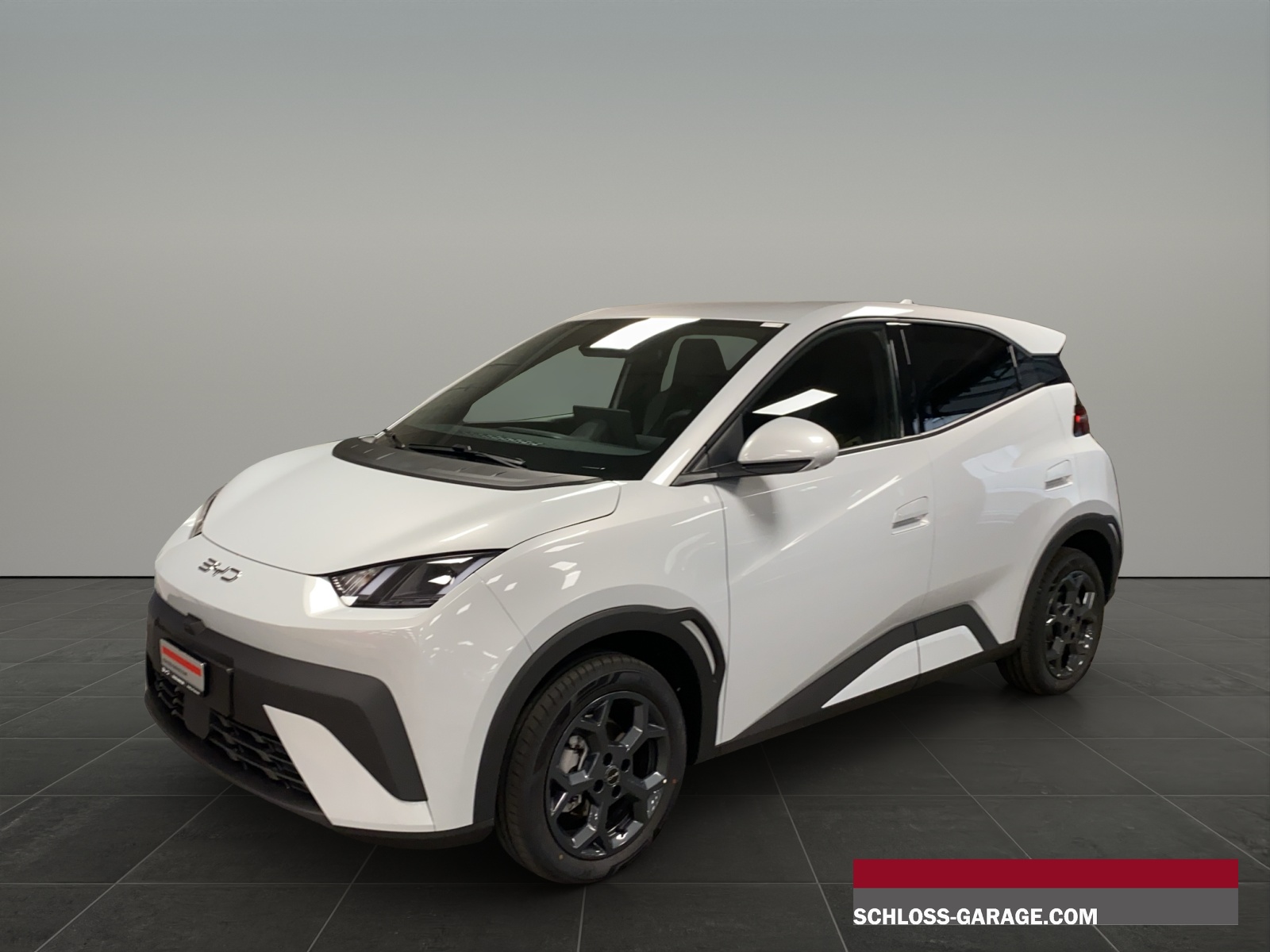 BYD Dolphin Surf Comfort
