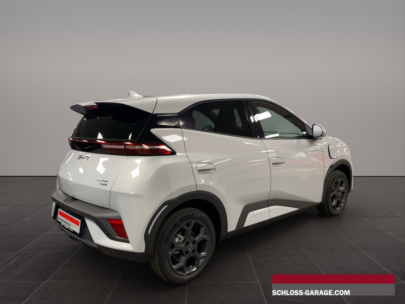 BYD Dolphin Surf Comfort-image-6