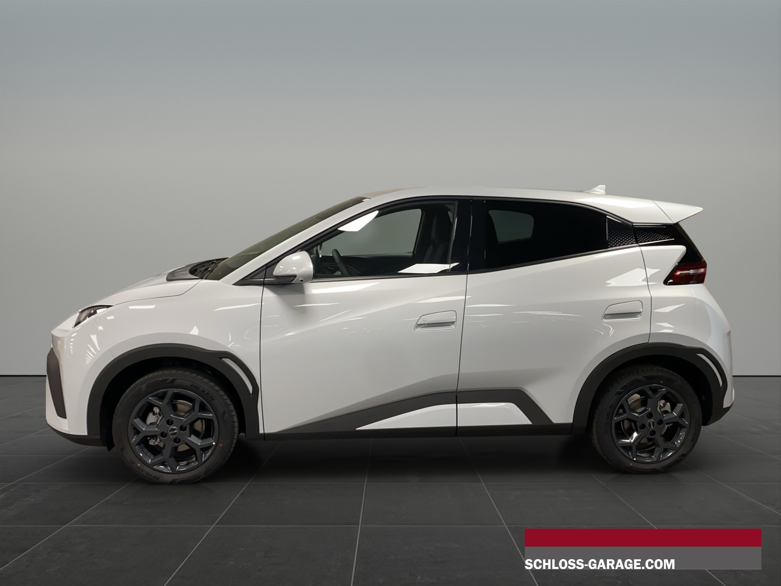 BYD Dolphin Surf Comfort-showroom-element-2