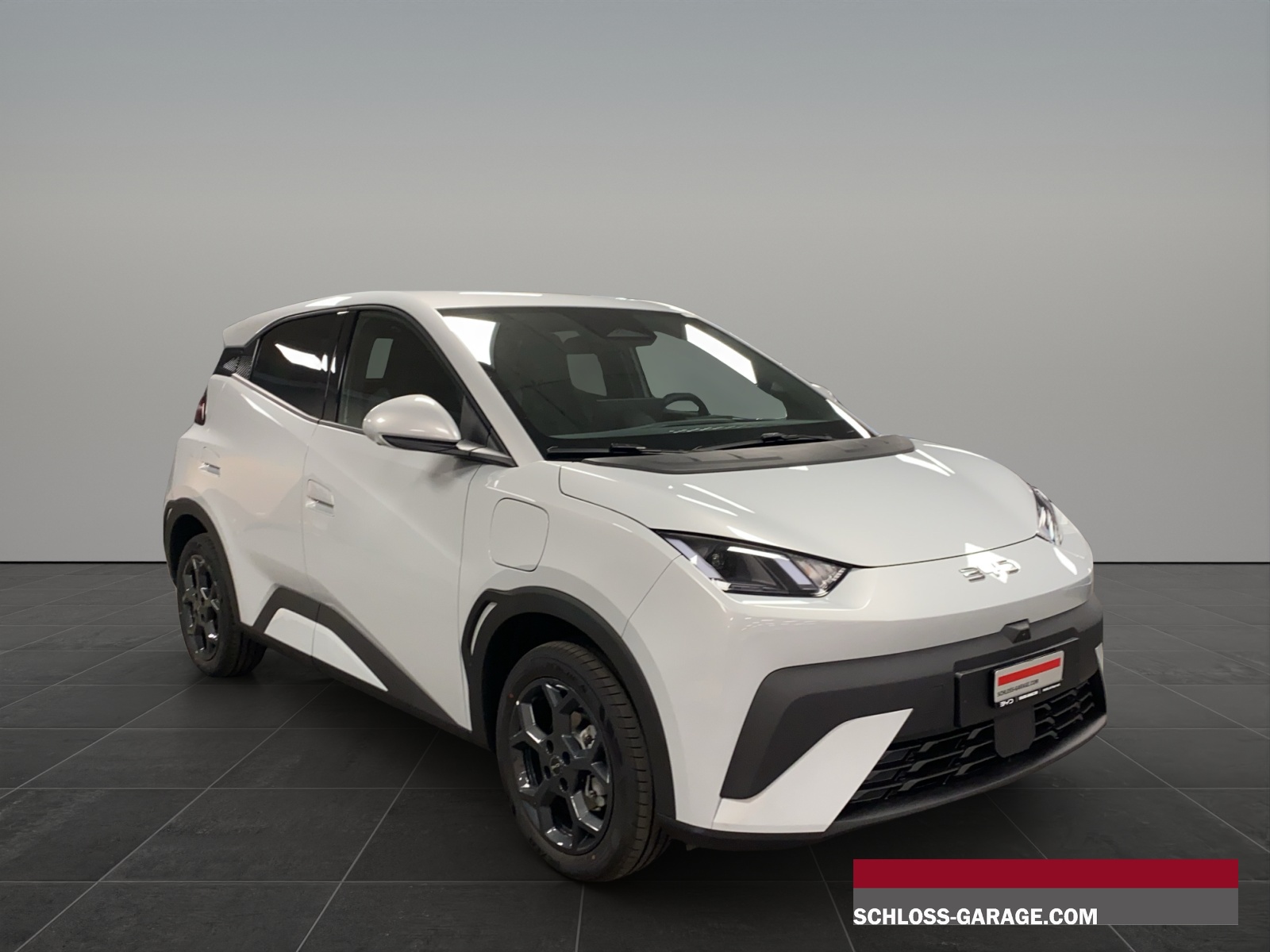 BYD Dolphin Surf Comfort-image-8