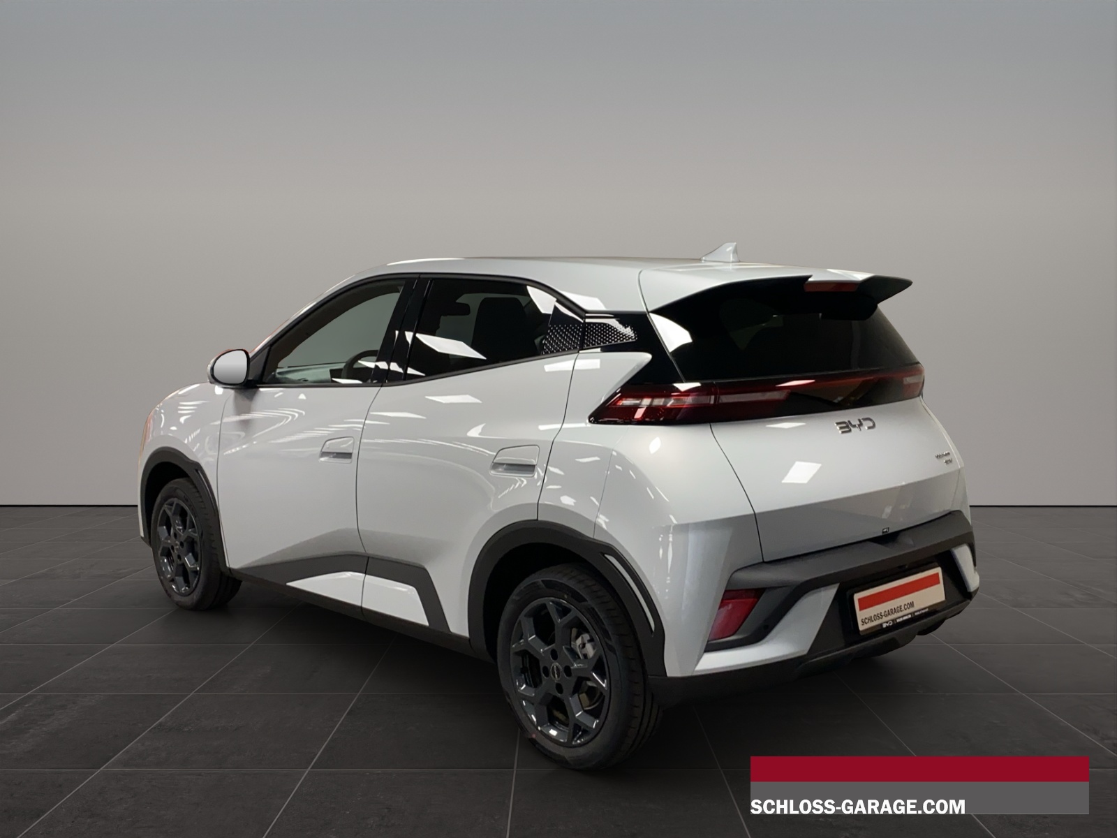 BYD Dolphin Surf Comfort-showroom-element-3