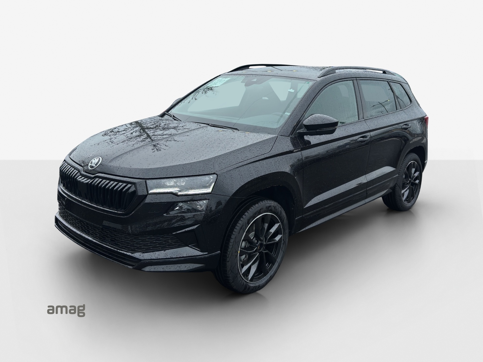 SKODA Karoq 2.0 TSI SportLine 4x4 DSG