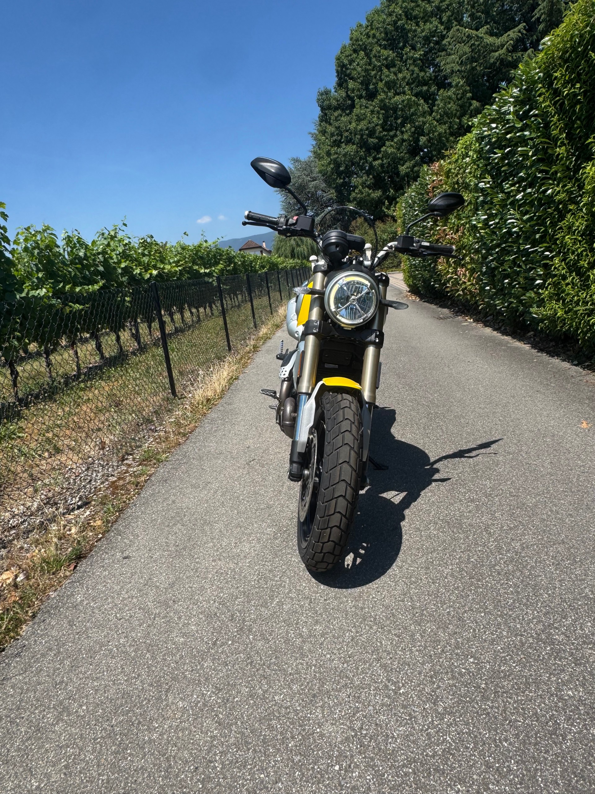 DUCATI Scrambler 1100-image-2
