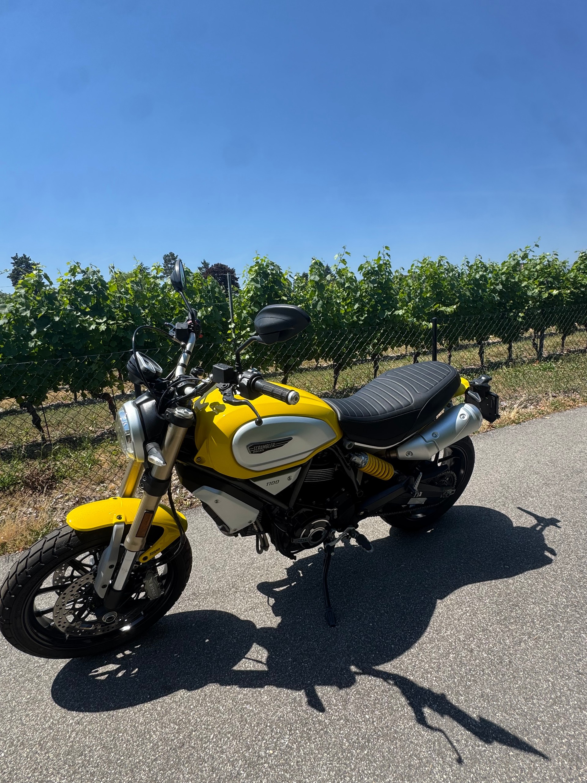 DUCATI Scrambler 1100-image-1