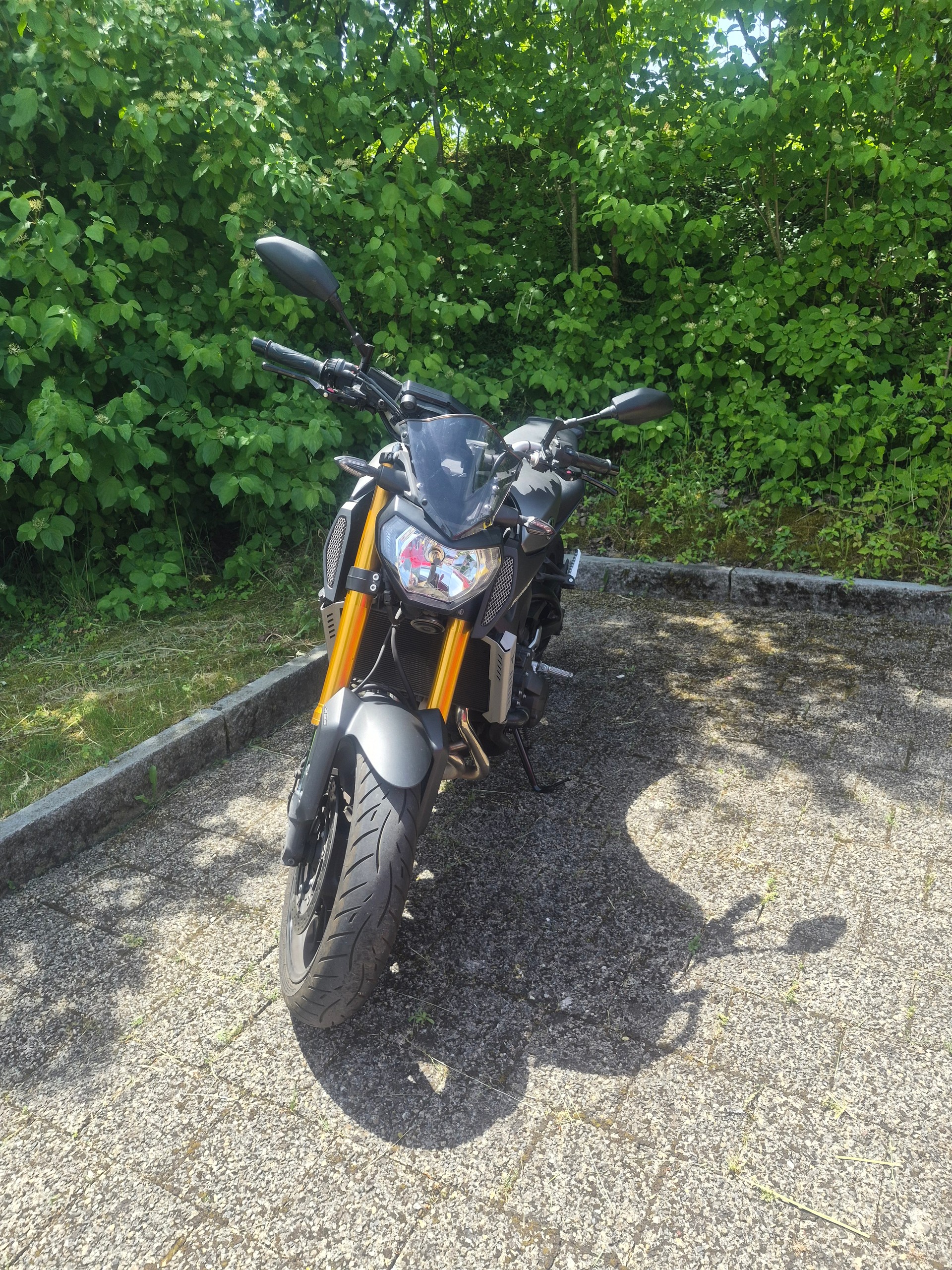 YAMAHA MT-09 ABS-image-2