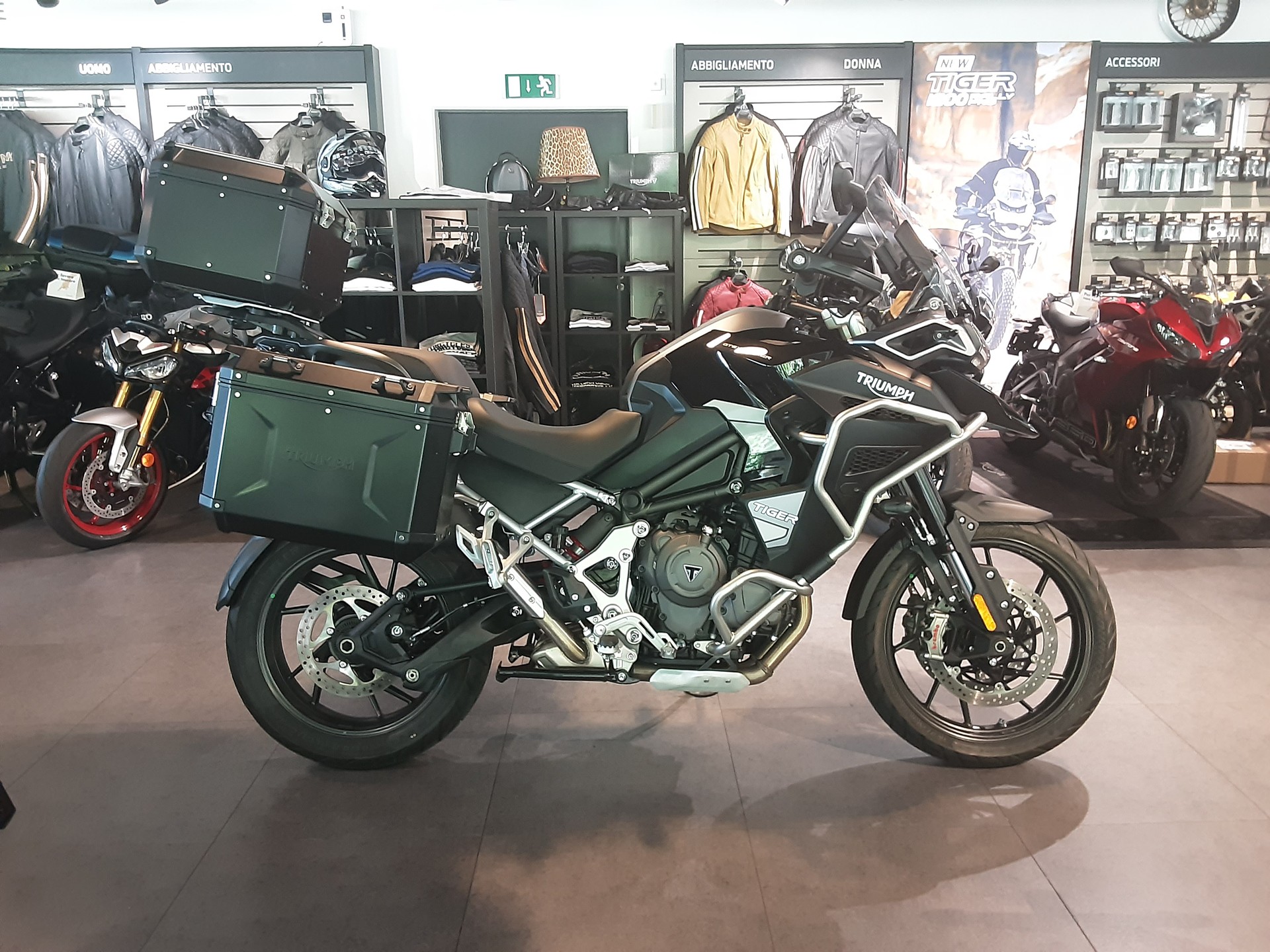 TRIUMPH Explorer GT-image-0