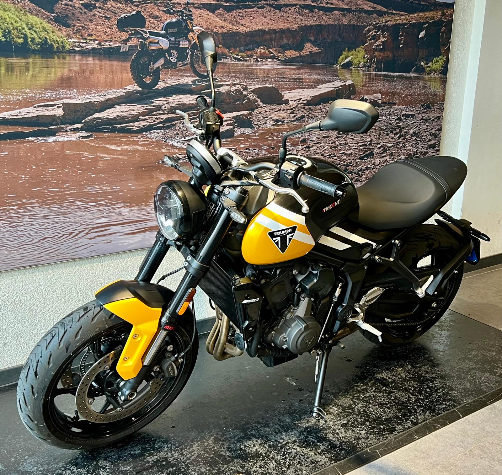 TRIUMPH Trident 660-image-2