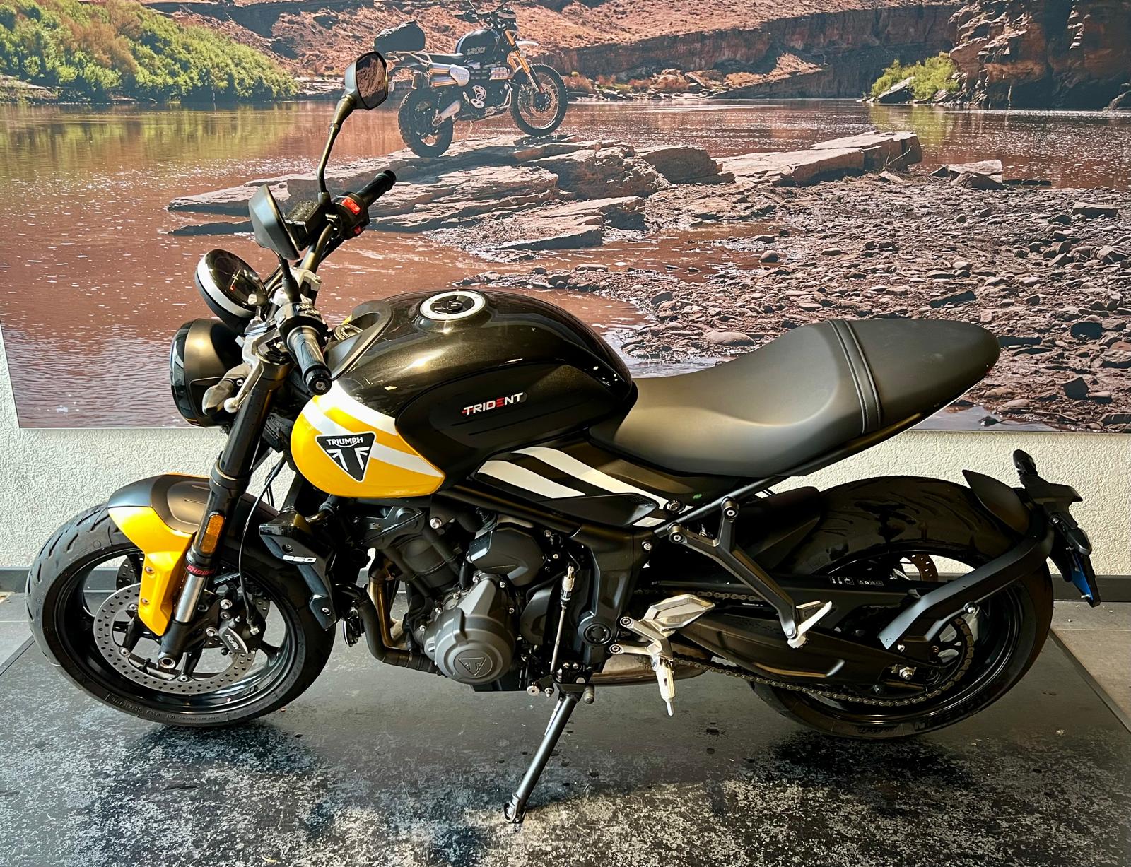 TRIUMPH Trident 660-image-3