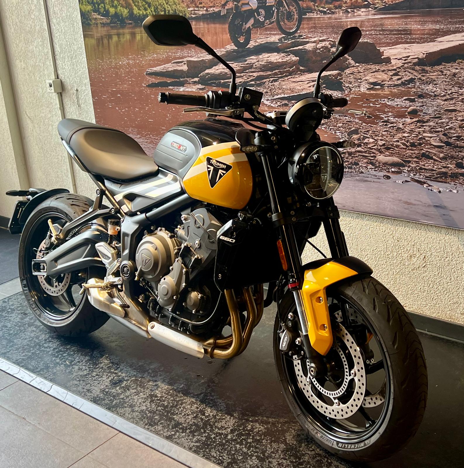TRIUMPH Trident 660-image-1