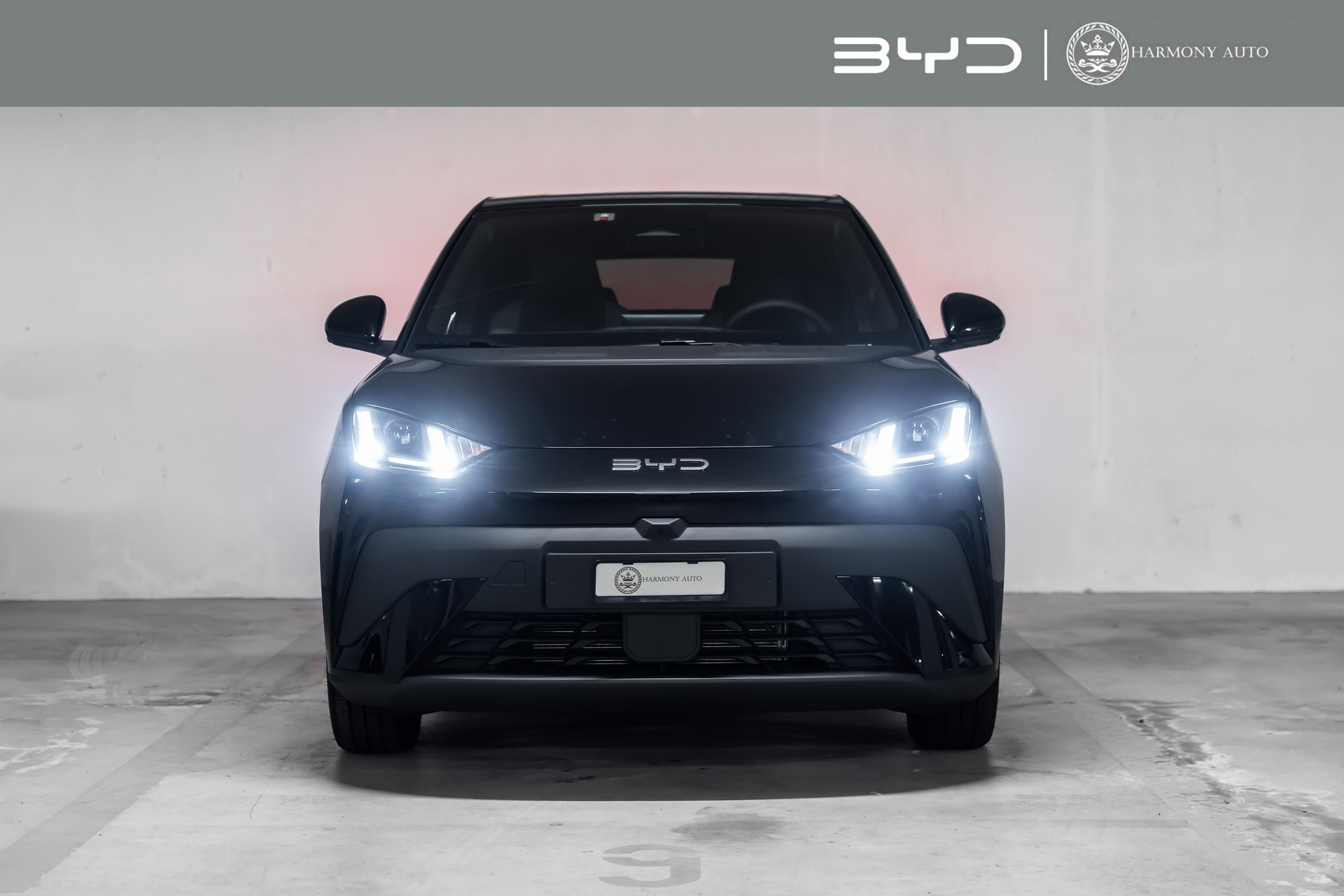 BYD Dolphin Surf Comfort