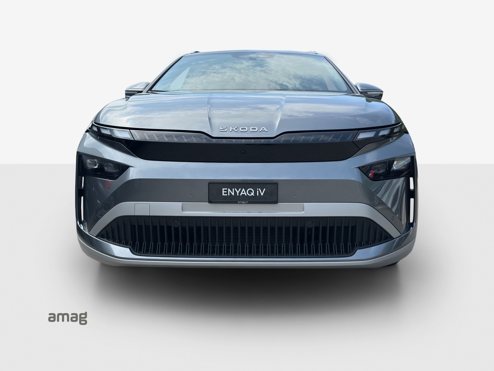 SKODA Enyaq 85x Selection 4x4-image-6