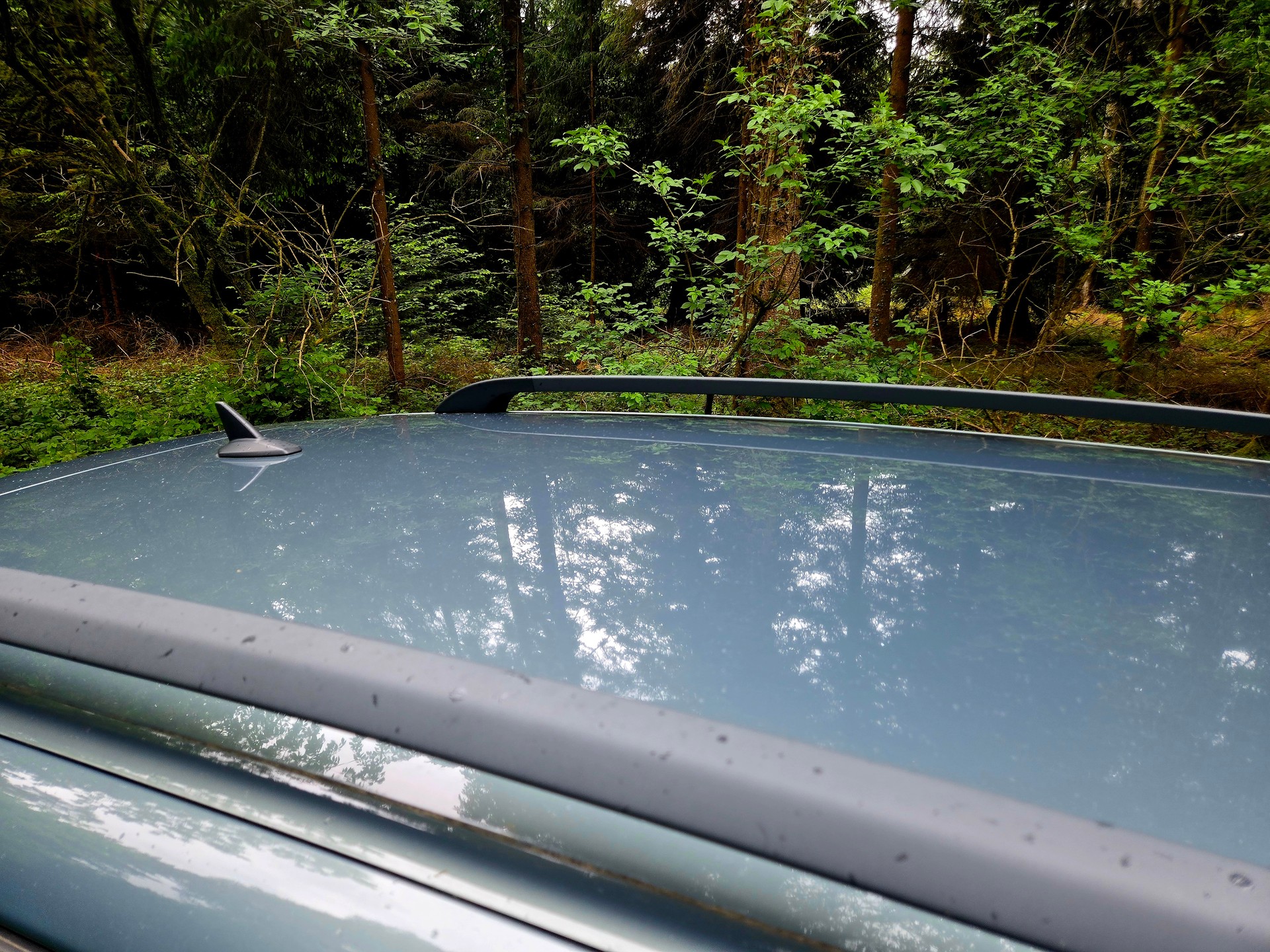 VOLVO V50 T5 Momentum-image-14