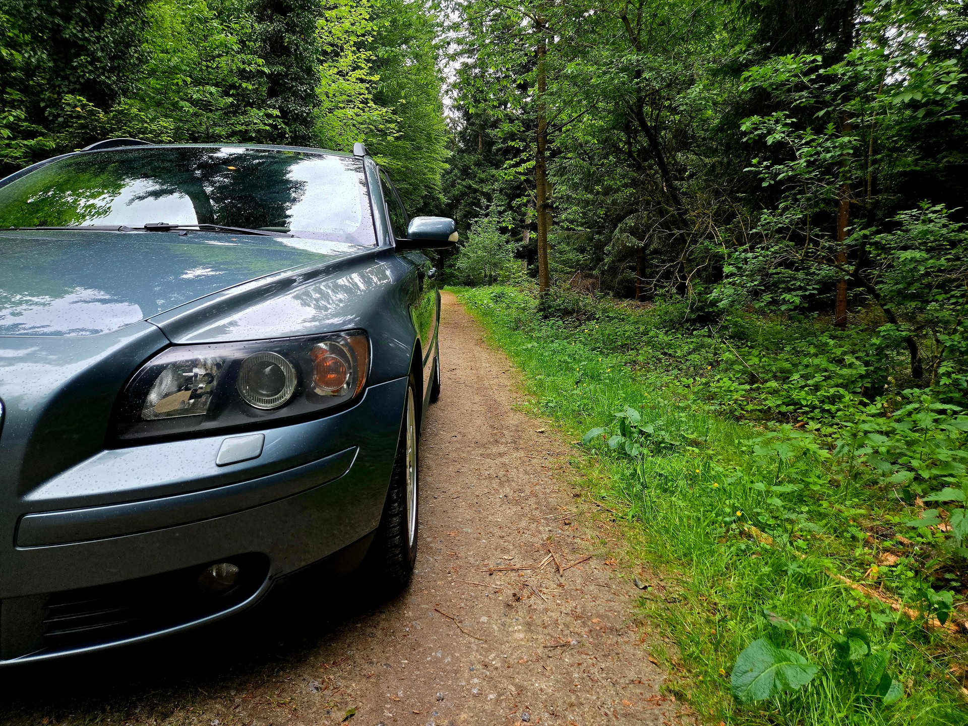VOLVO V50 T5 Momentum-image-8