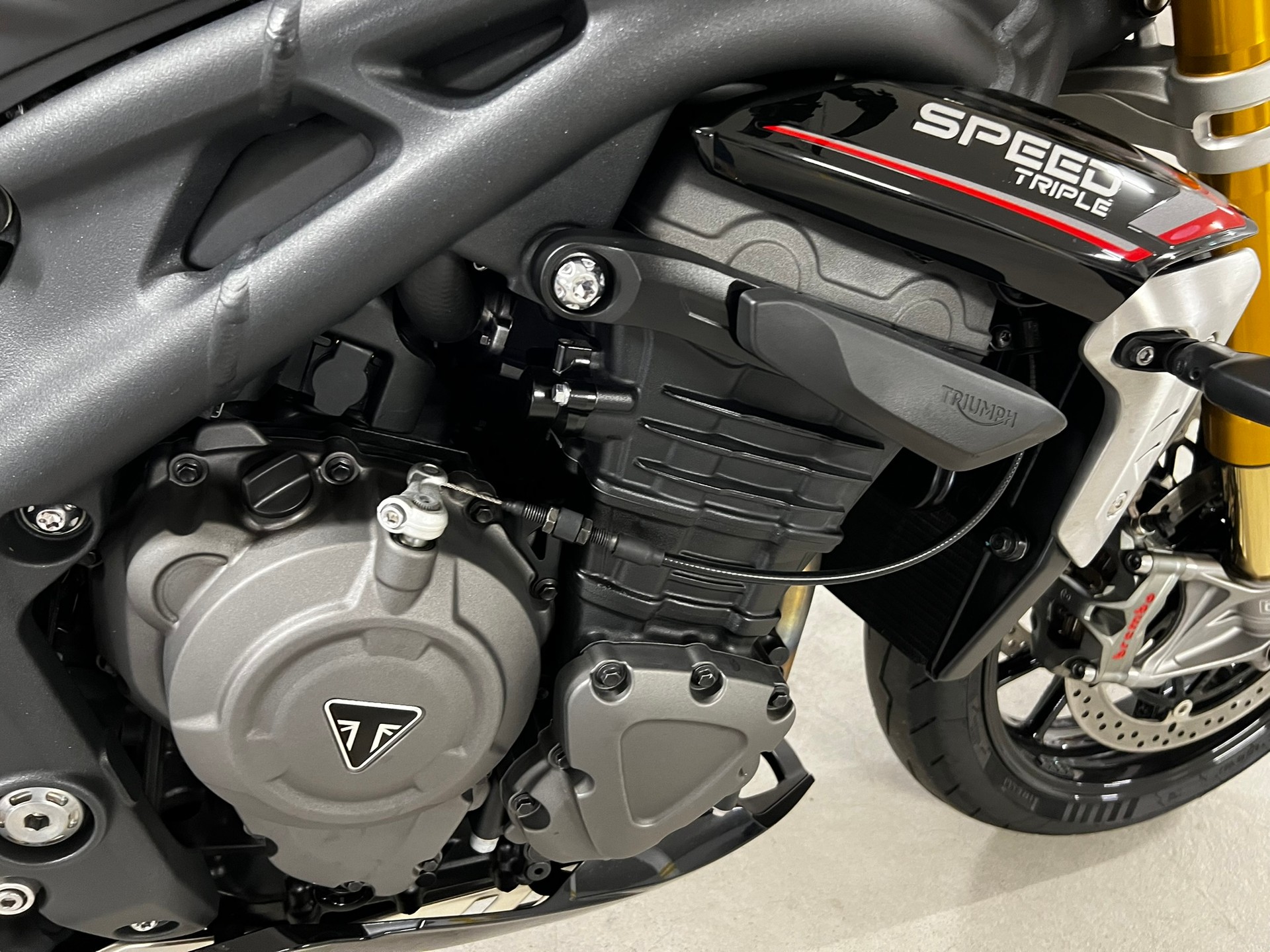 TRIUMPH Speed Triple 1200 RS-image-3