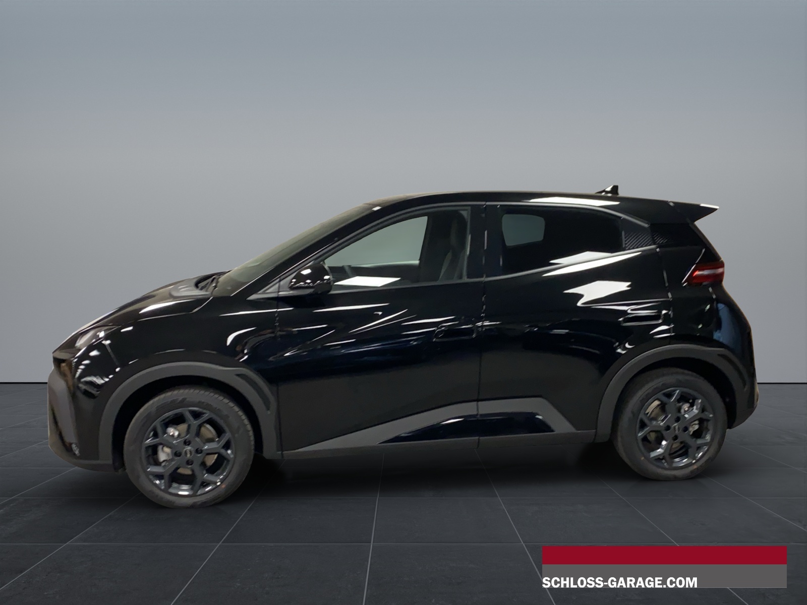 BYD Dolphin Surf Comfort-showroom-element-2