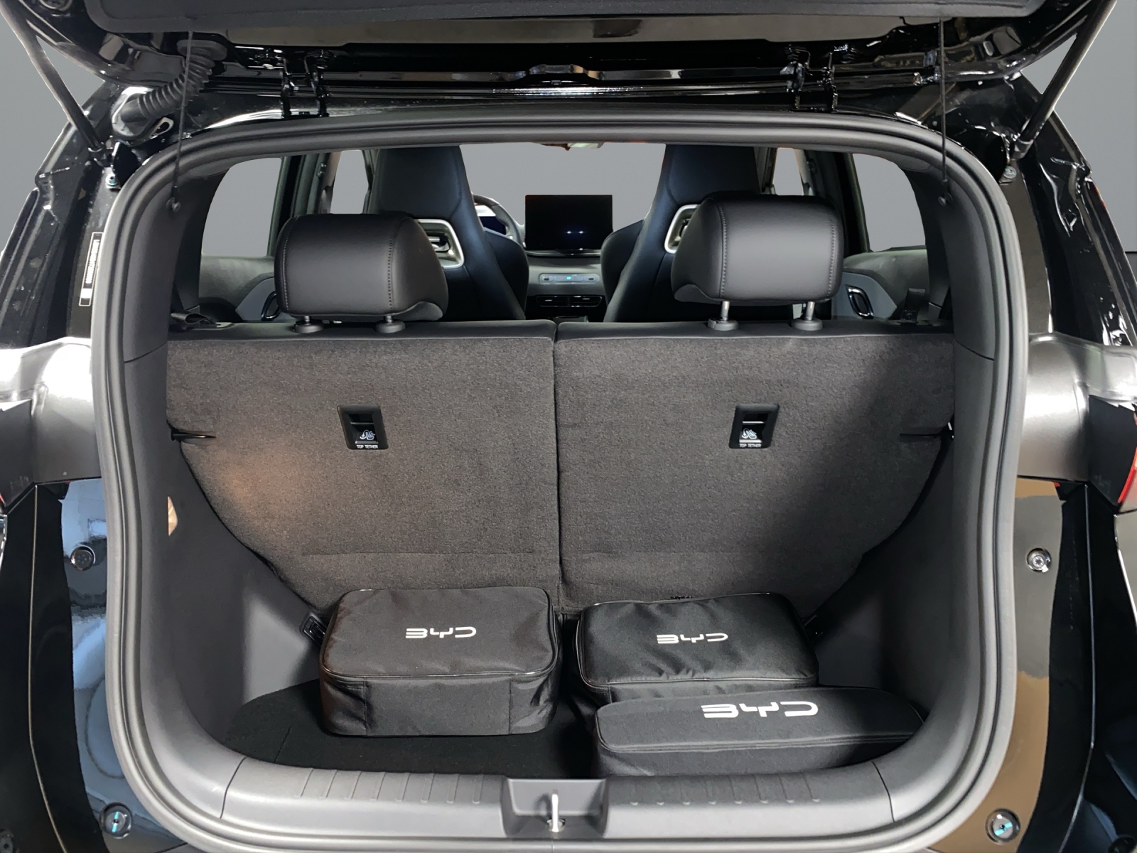BYD Dolphin Surf Comfort-image-5