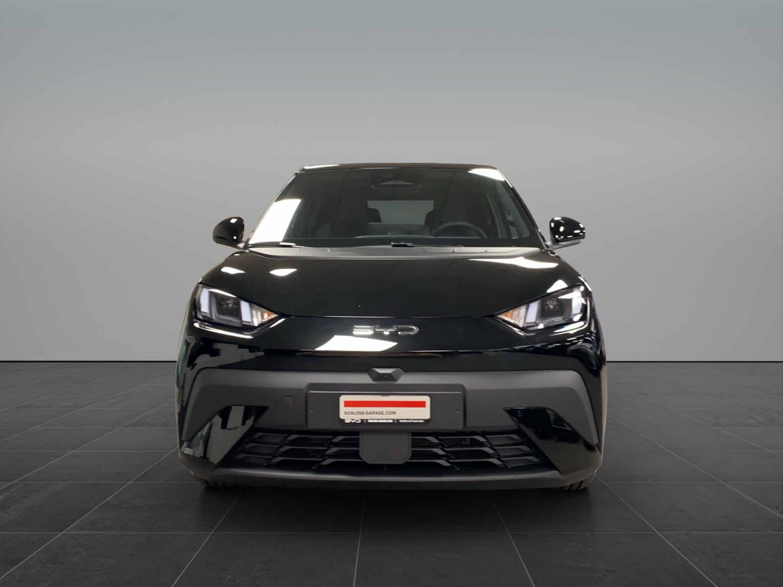 BYD Dolphin Surf Comfort-showroom-element-1