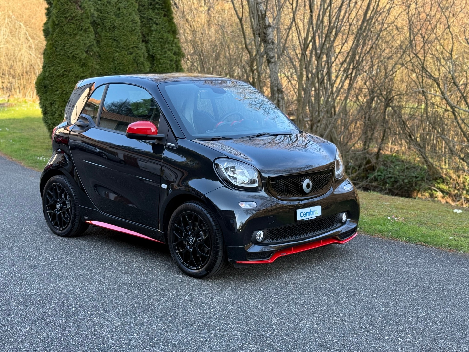 SMART fortwo prime twinmatic-image-3