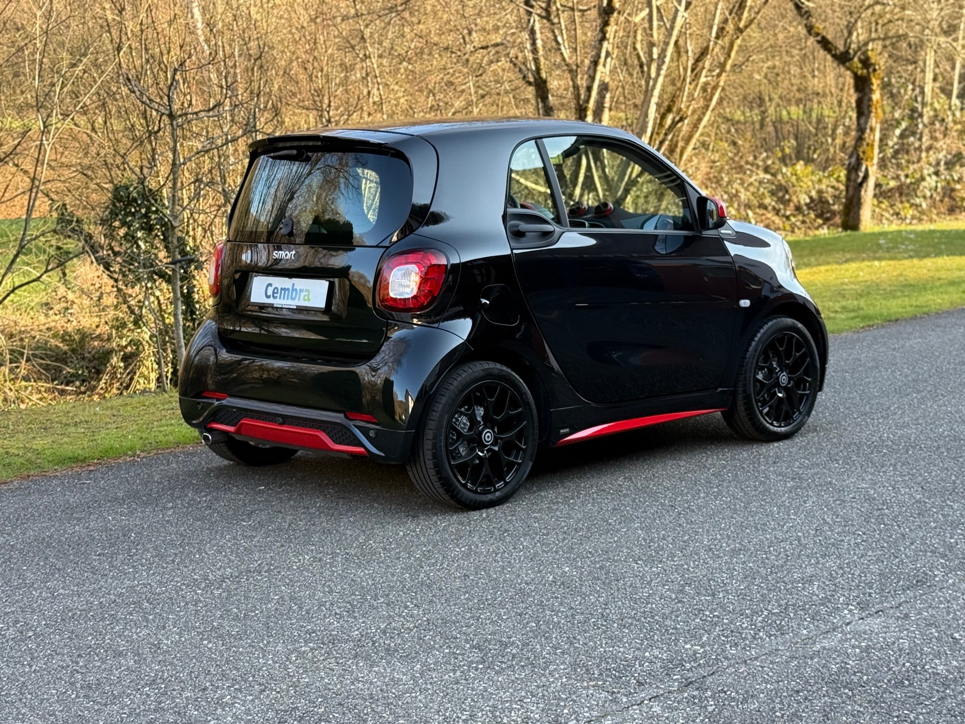 SMART fortwo prime twinmatic-image-5